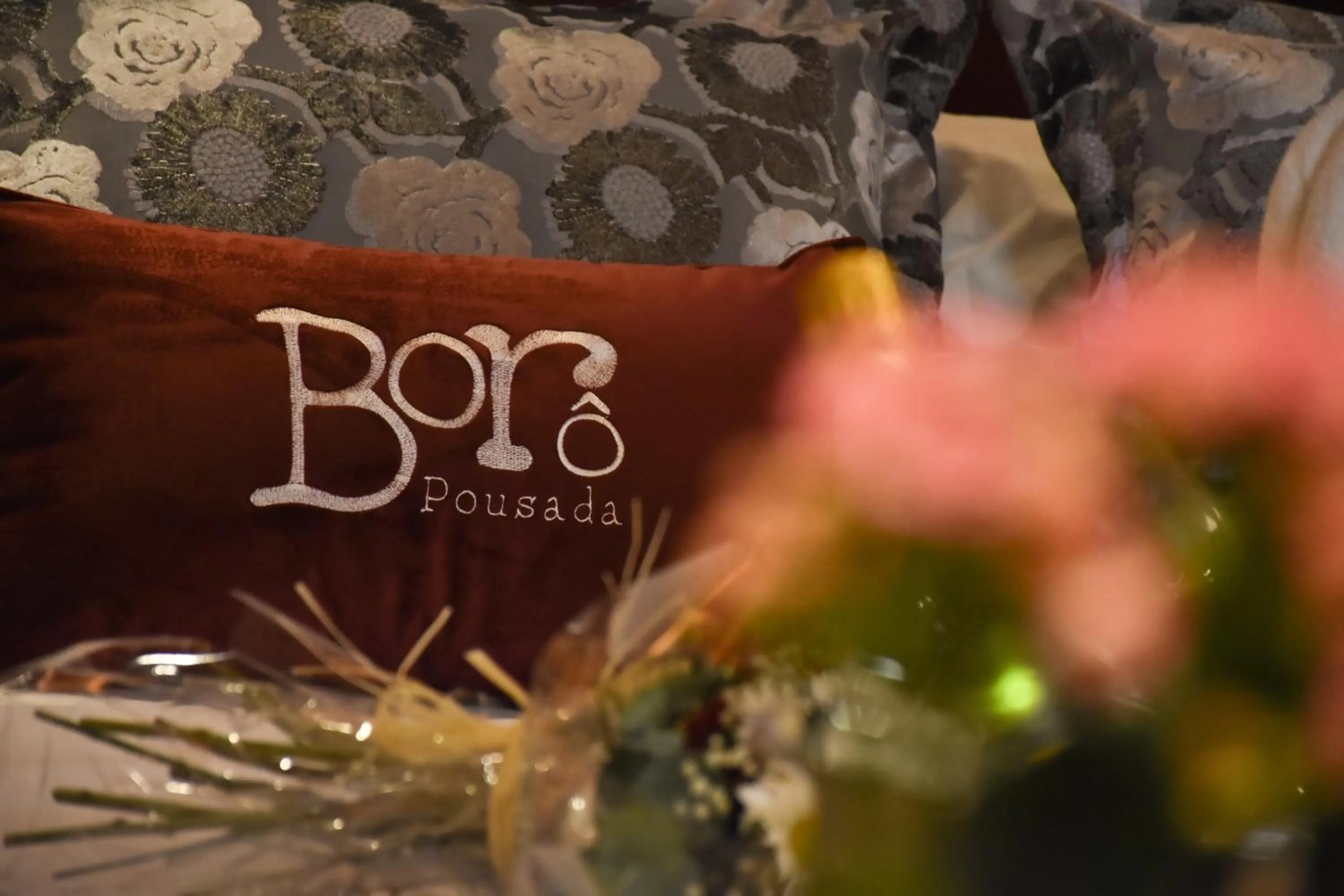 Property logo or sign in Pousada Borô