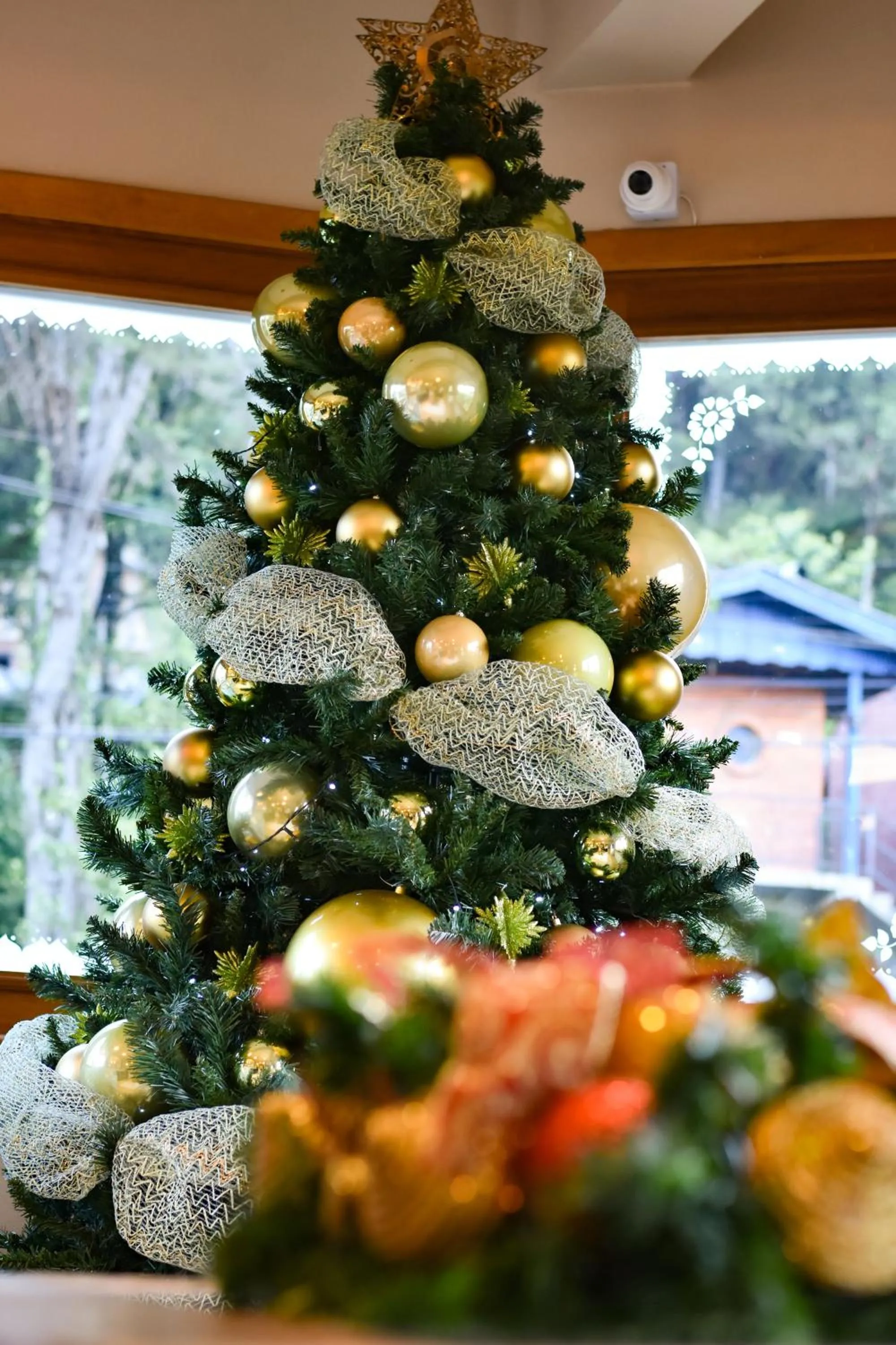 Lobby or reception in Pousada Borô
