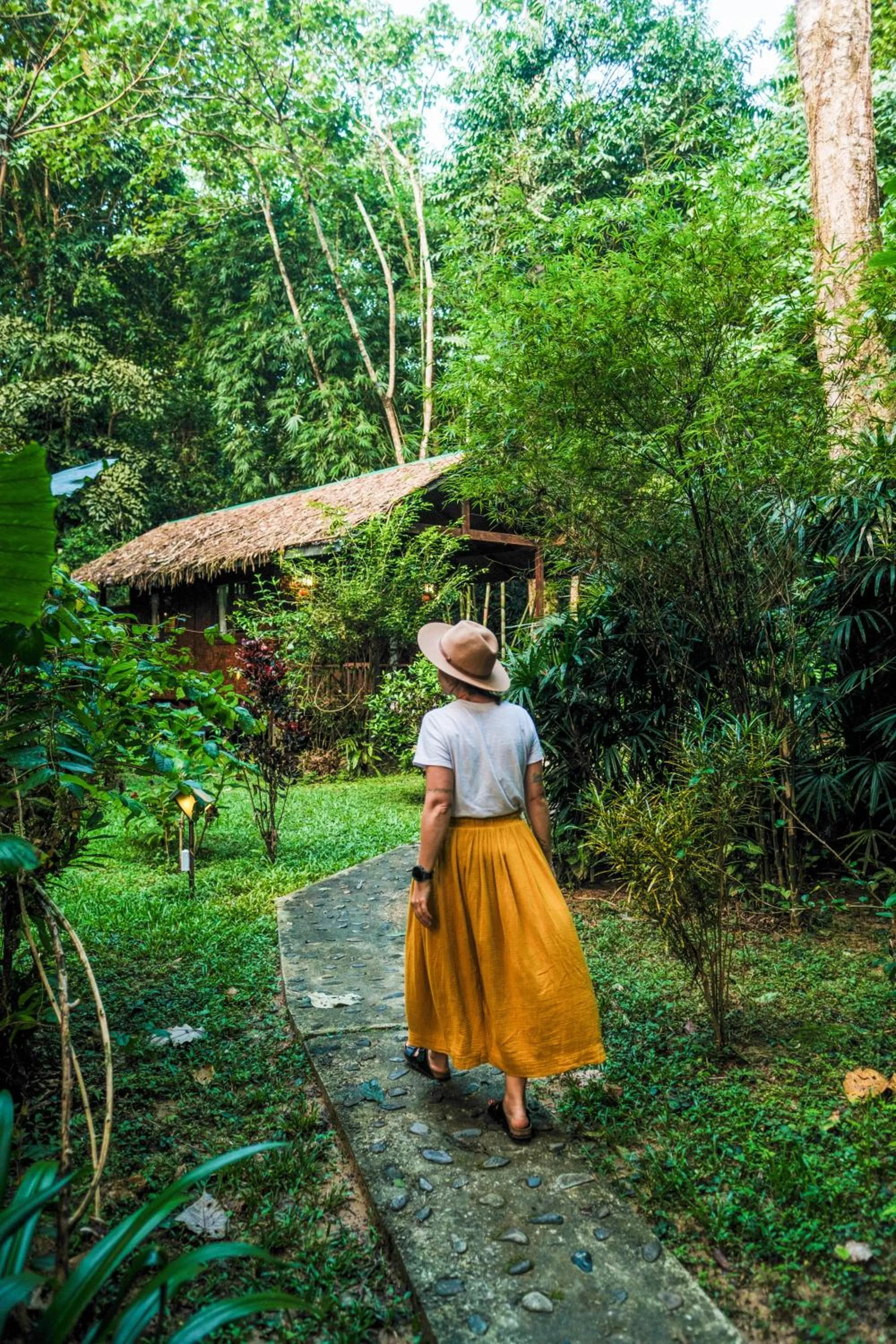 Garden in Our Jungle House