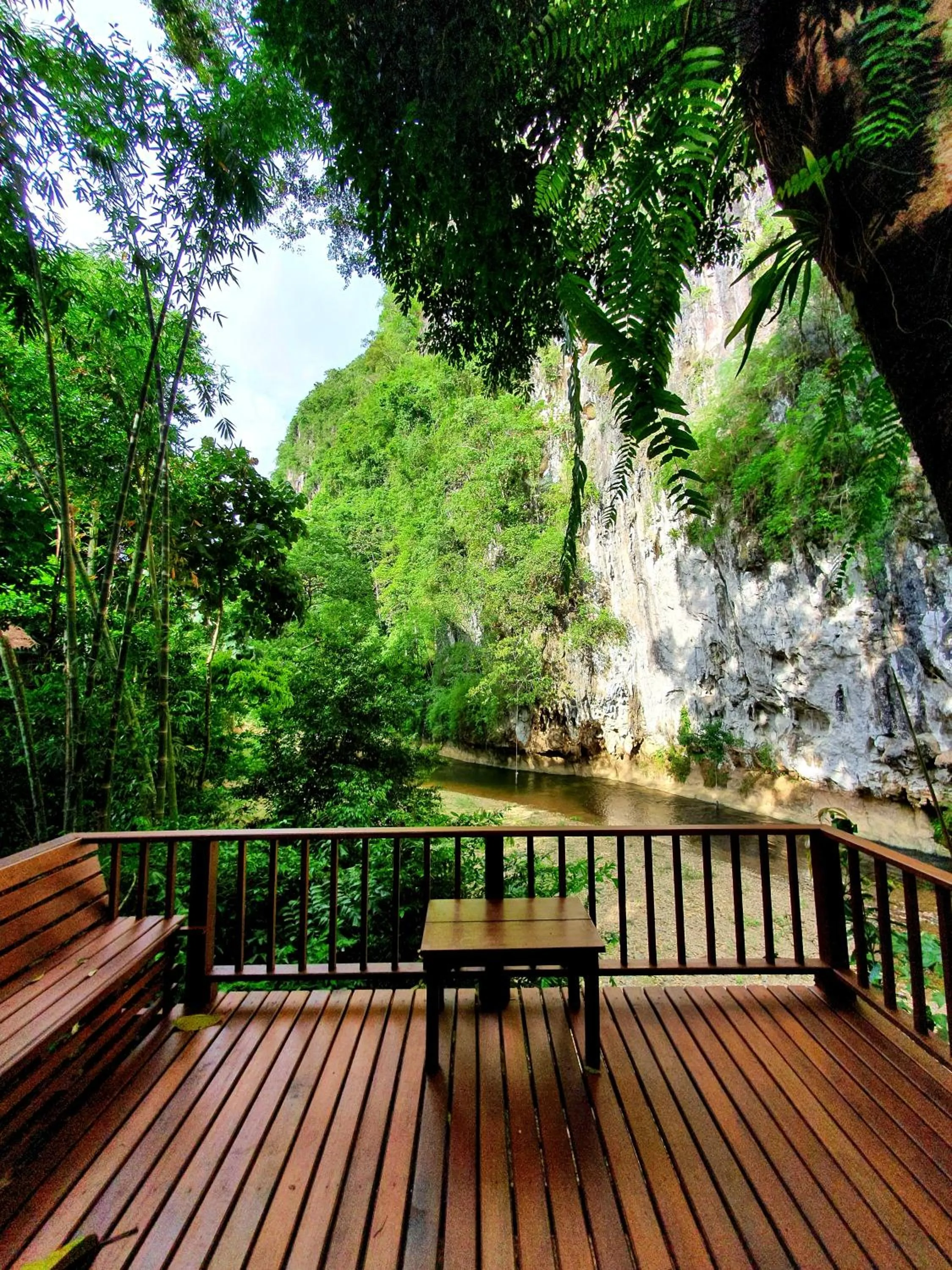 Patio in Our Jungle House