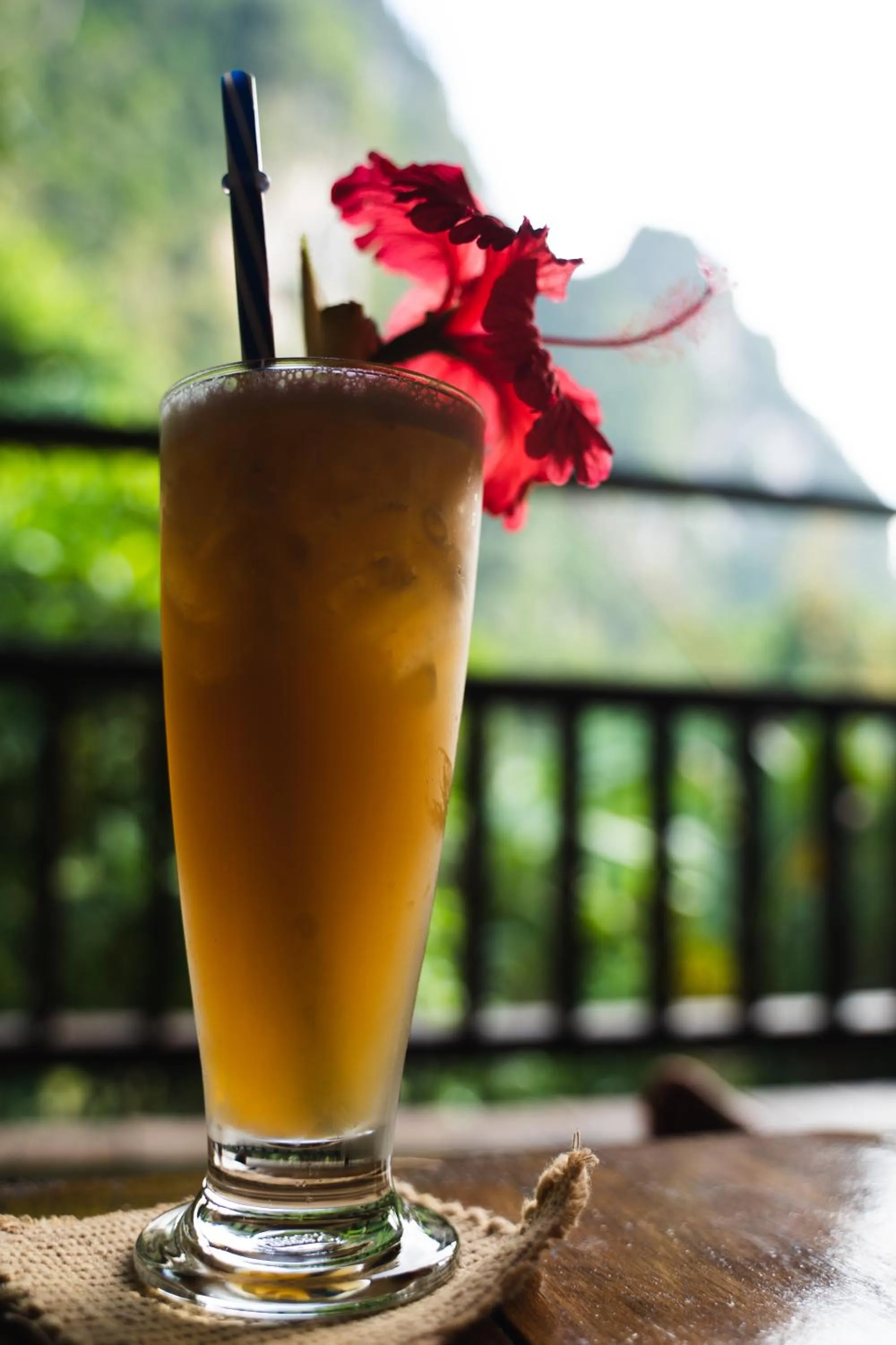 Drinks in Our Jungle House