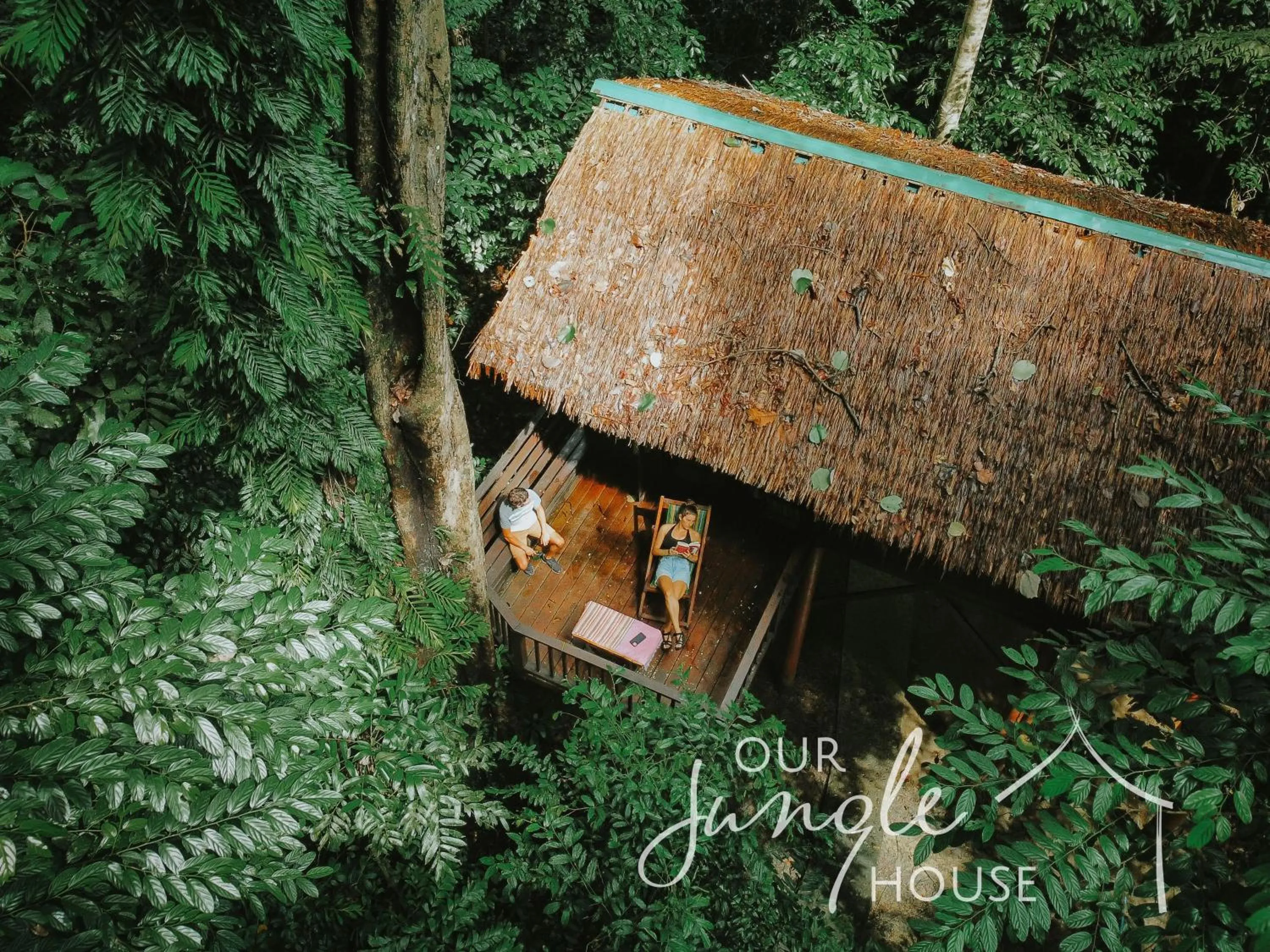 Garden view in Our Jungle House