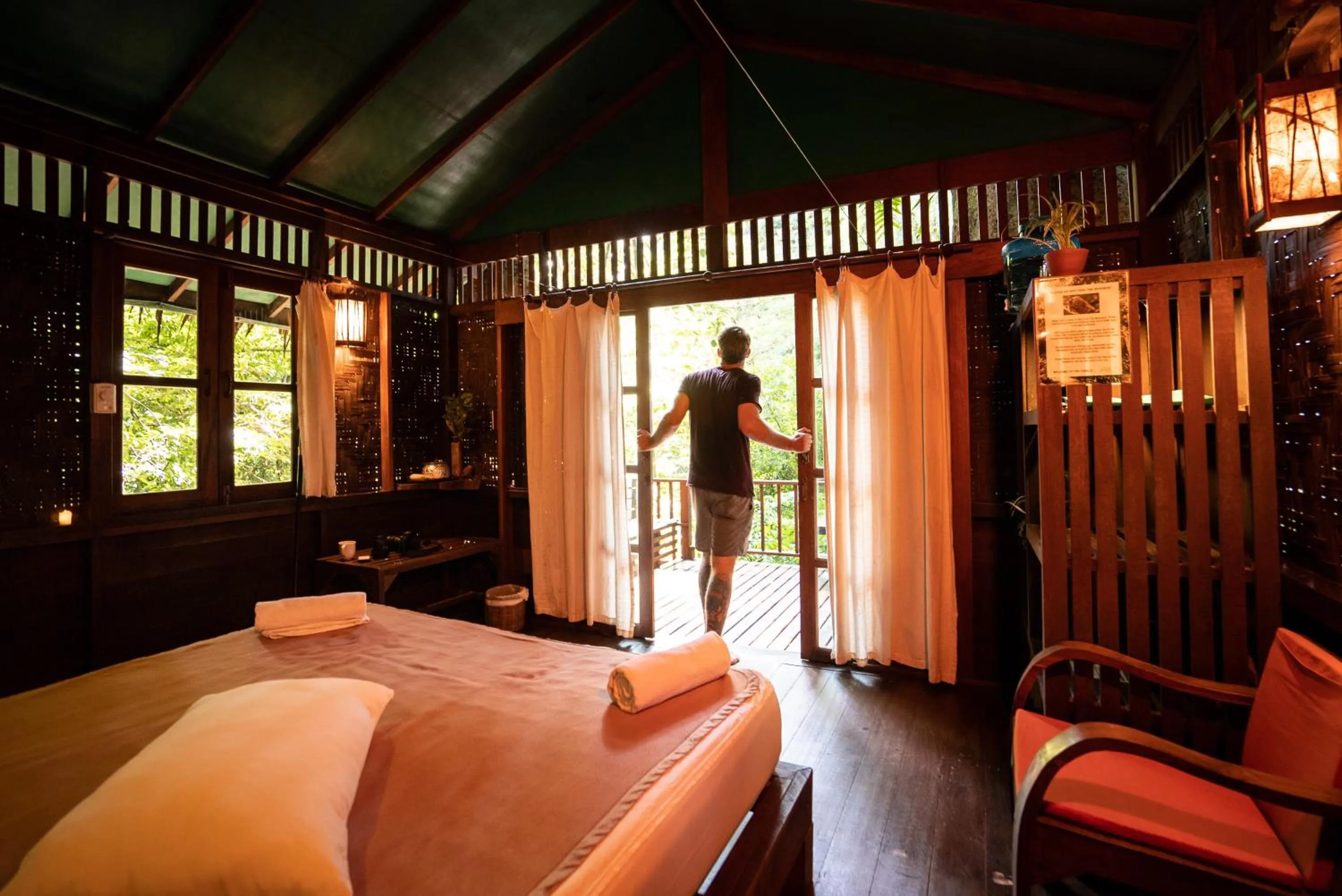 View (from property/room) in Our Jungle House