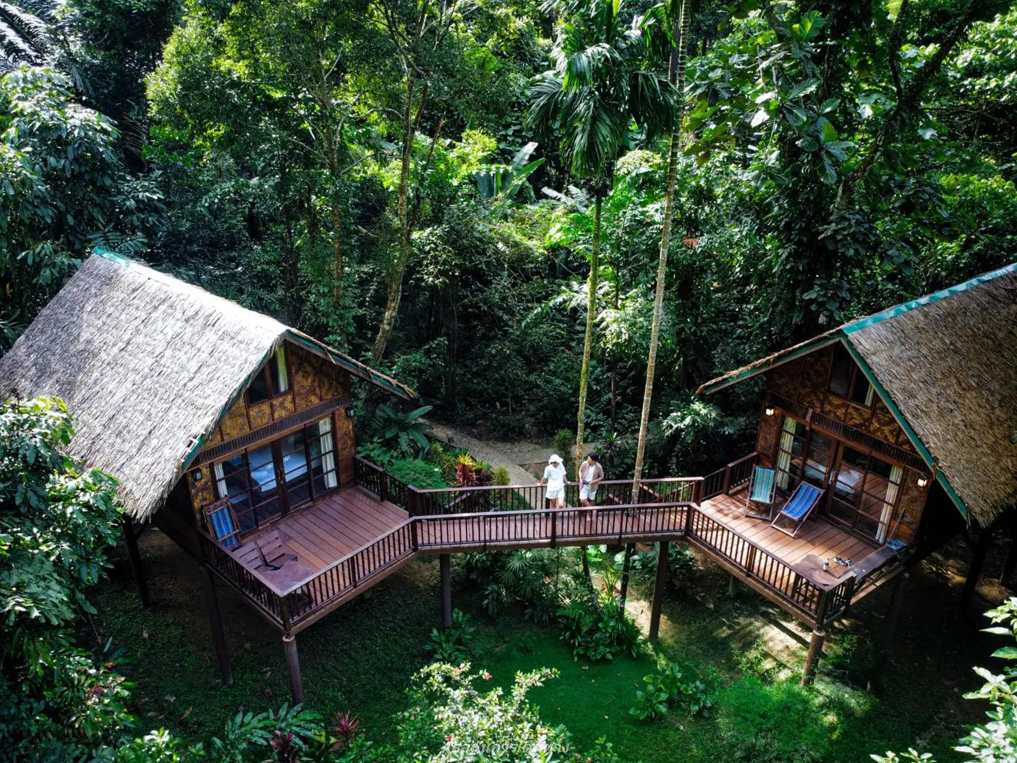 Treehouse Loft in Our Jungle House Treehouse Loft in Our Jungle House