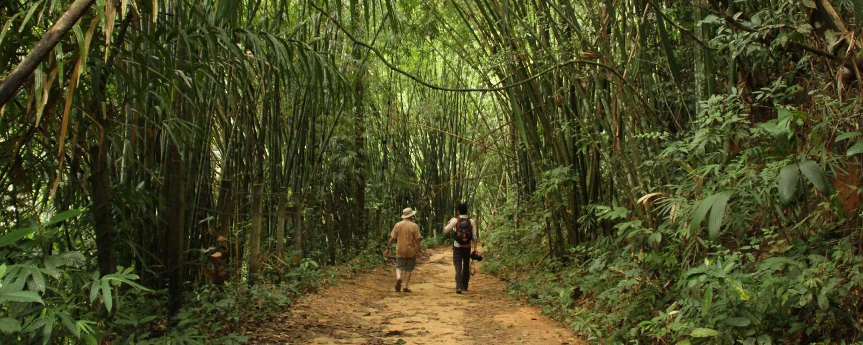 Activities in Our Jungle House