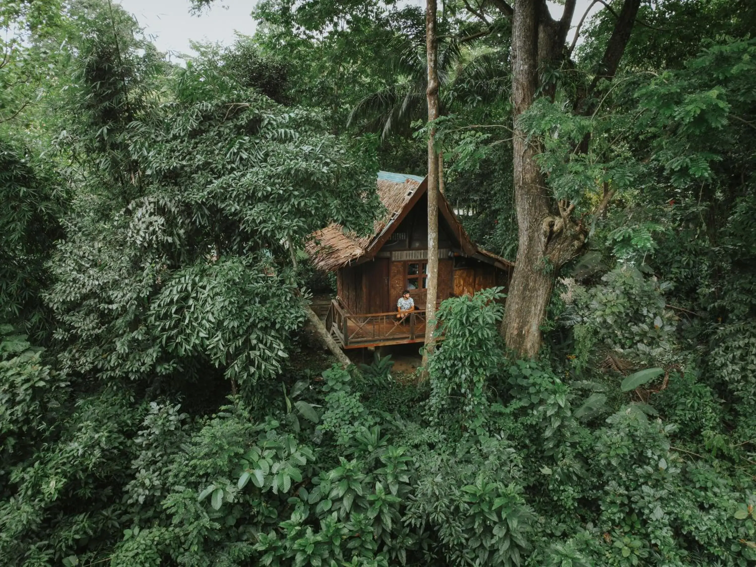 Bungalow Double in Our Jungle House Bungalow Double in Our Jungle House