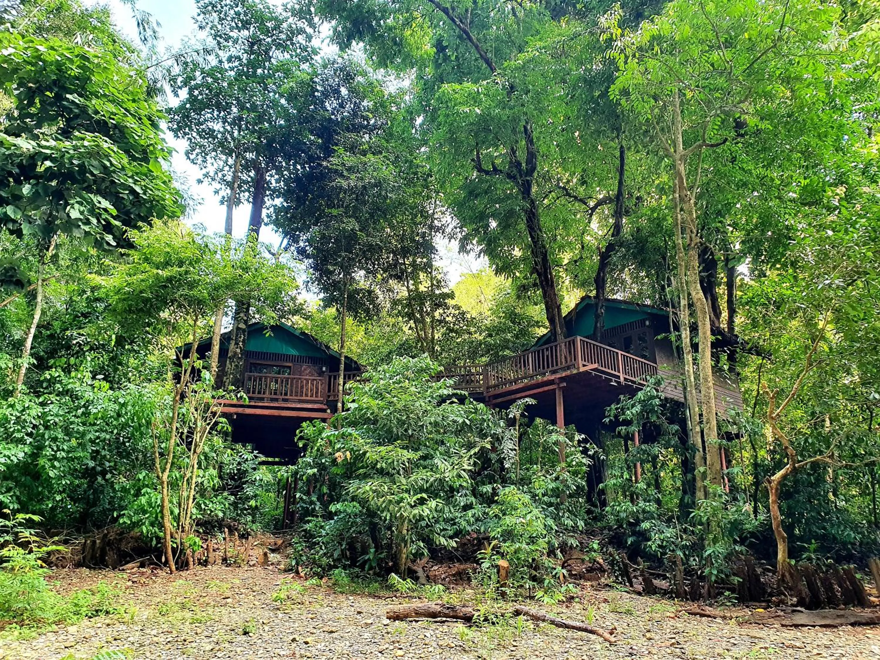 Natural landscape in Our Jungle House