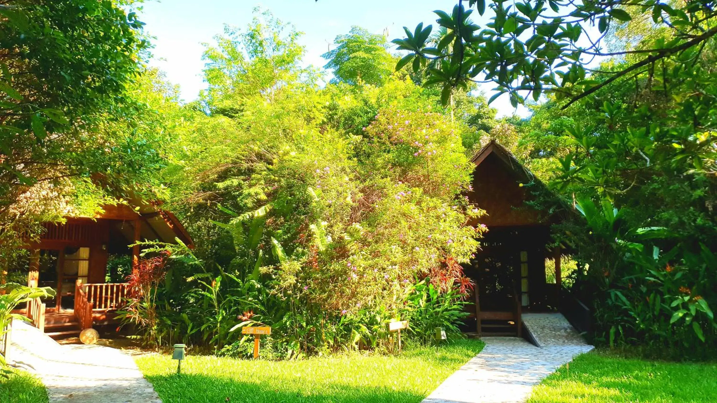 Bungalow Triple in Our Jungle House Bungalow Triple in Our Jungle House