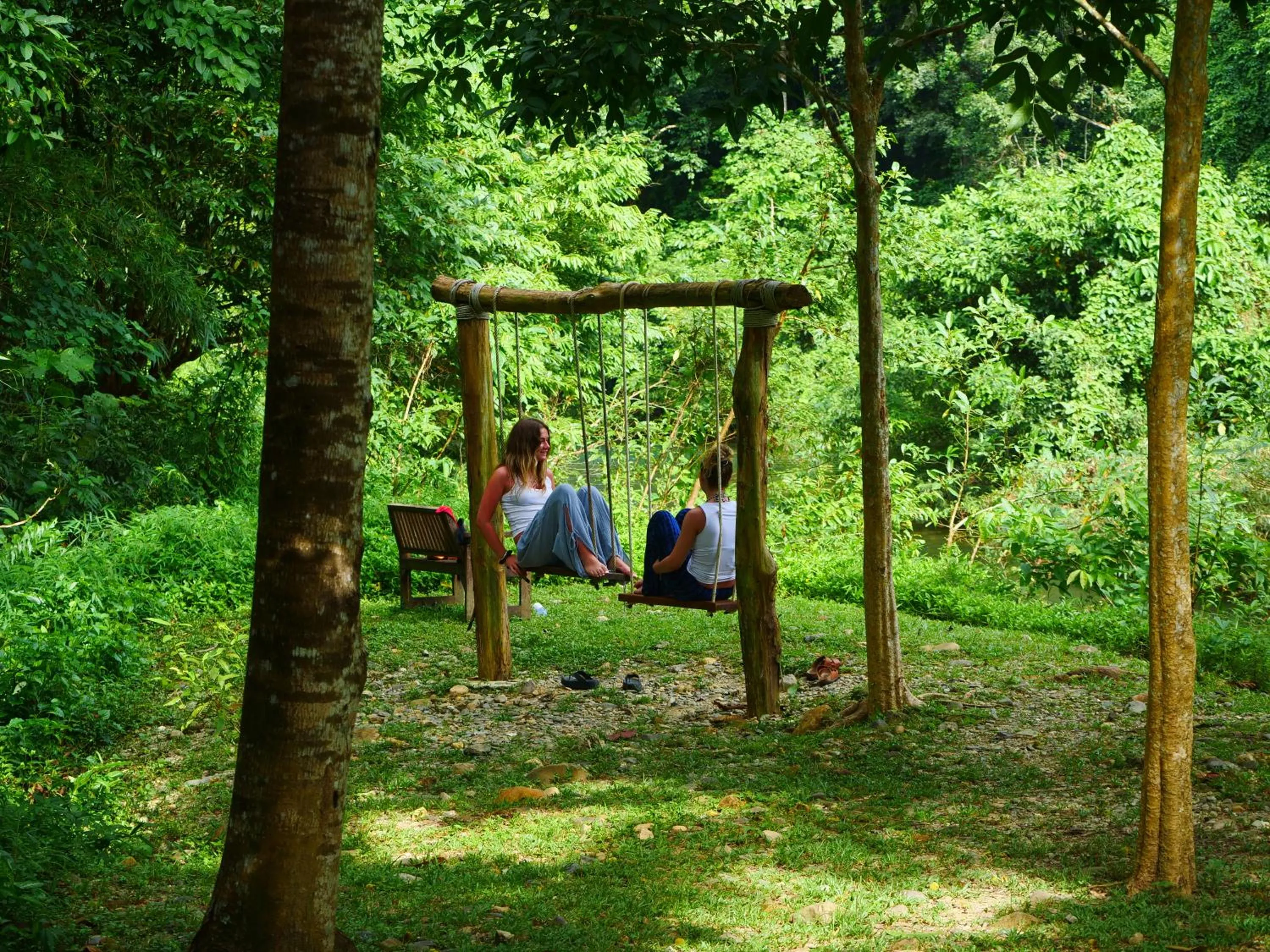 Garden in Our Jungle House