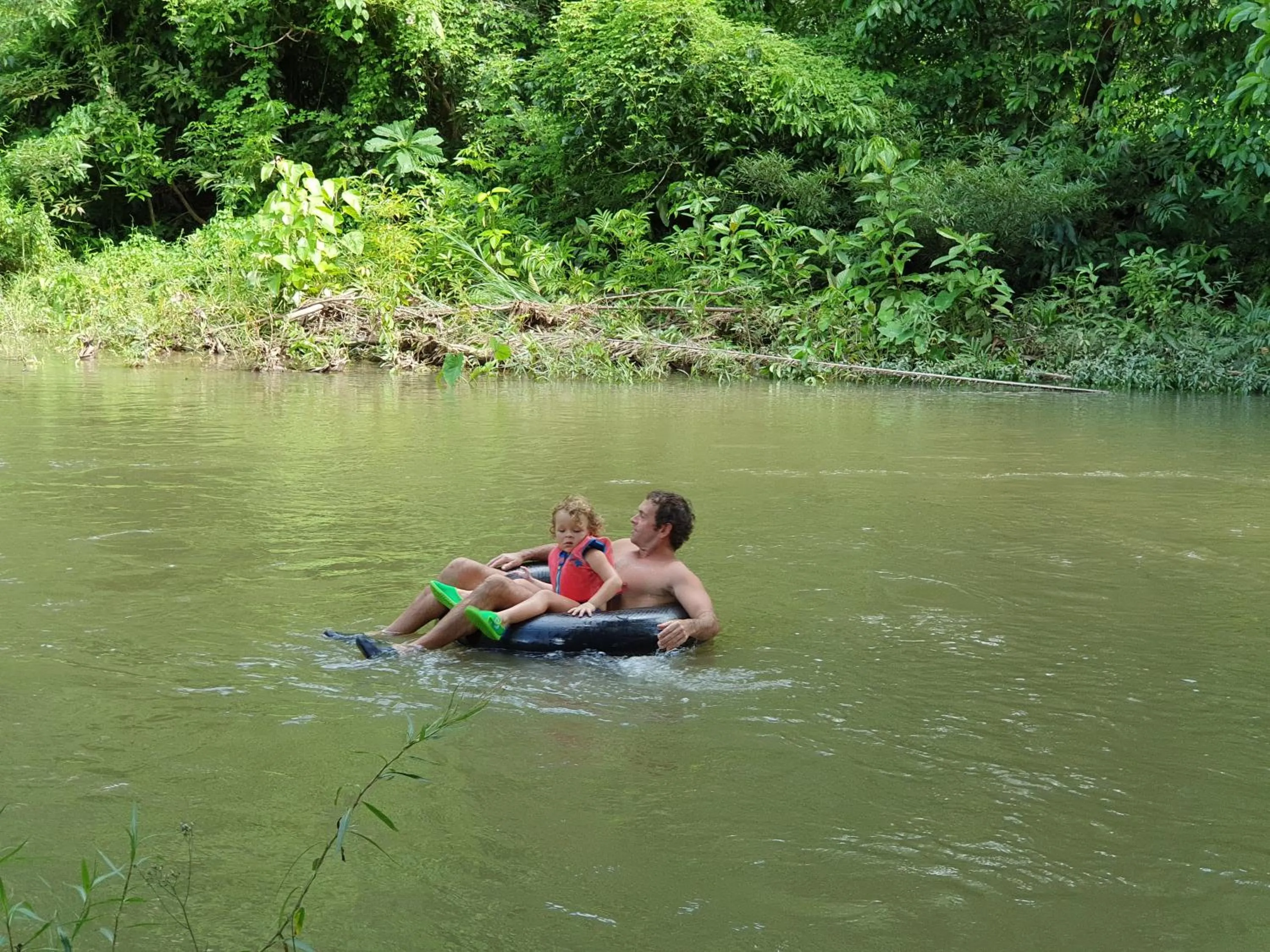 Activities in Our Jungle House