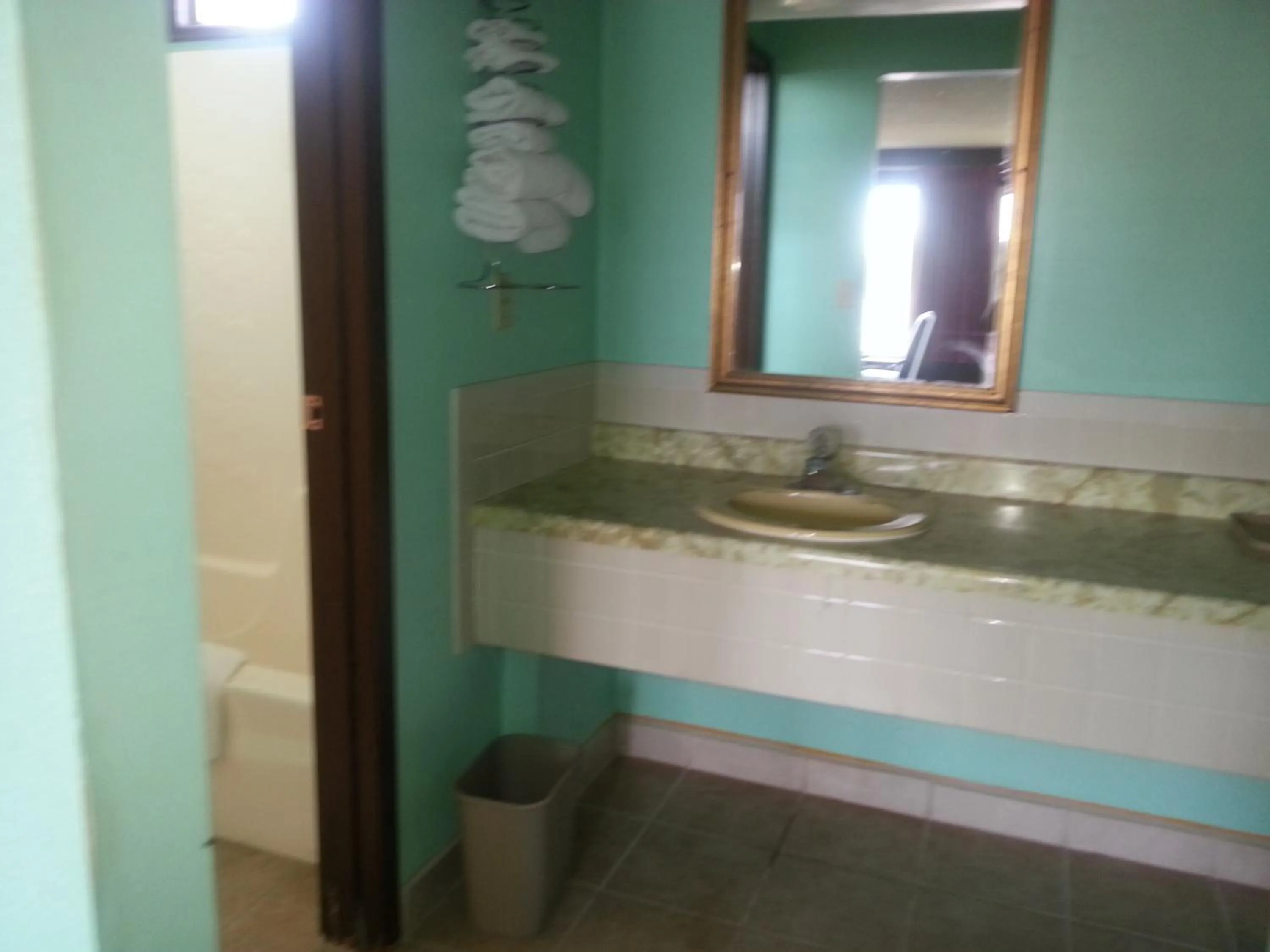 Bathroom in Gray Plaza Motel West Frankfort