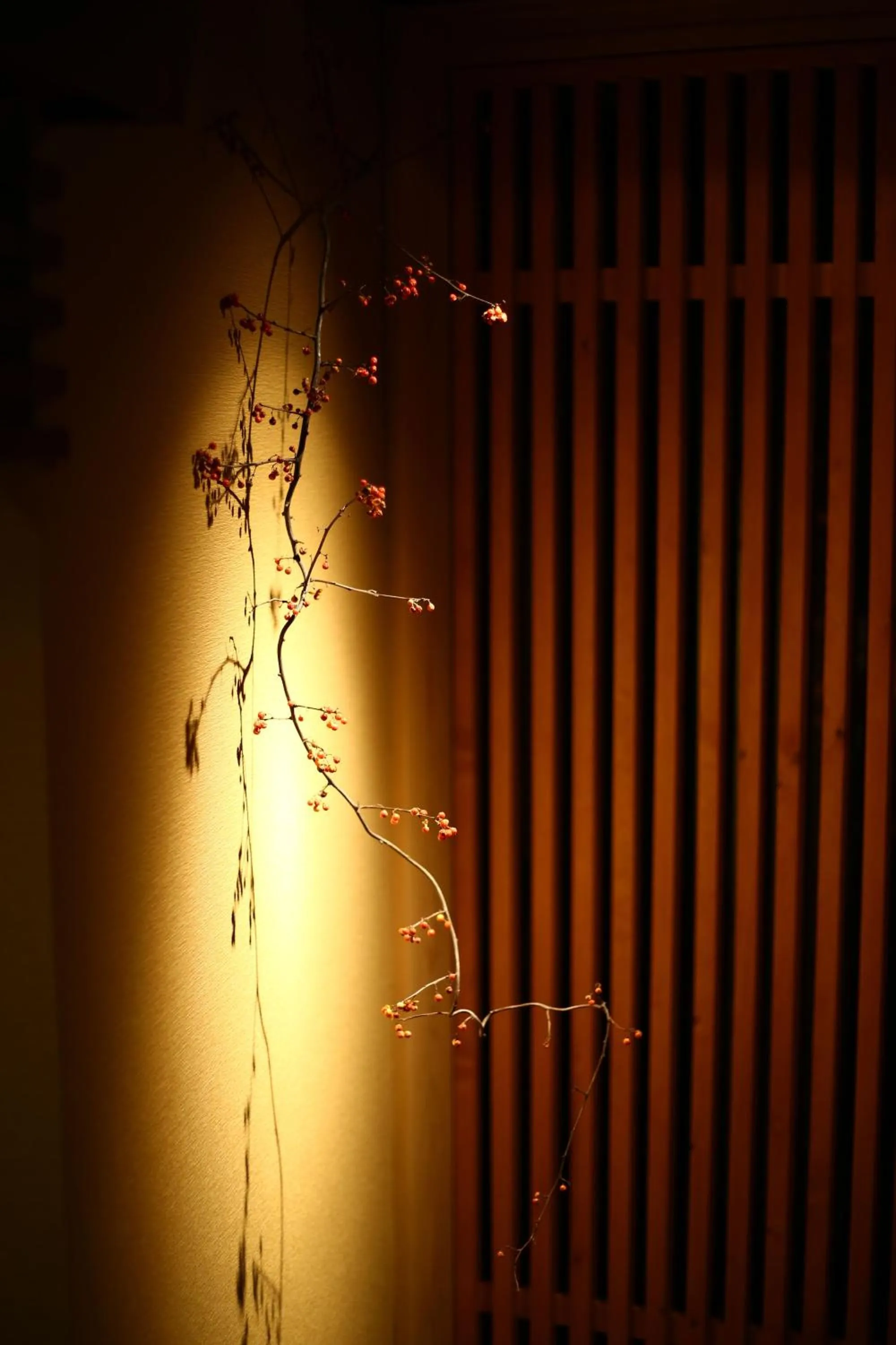 Lobby or reception in Nakajimaya Ryokan