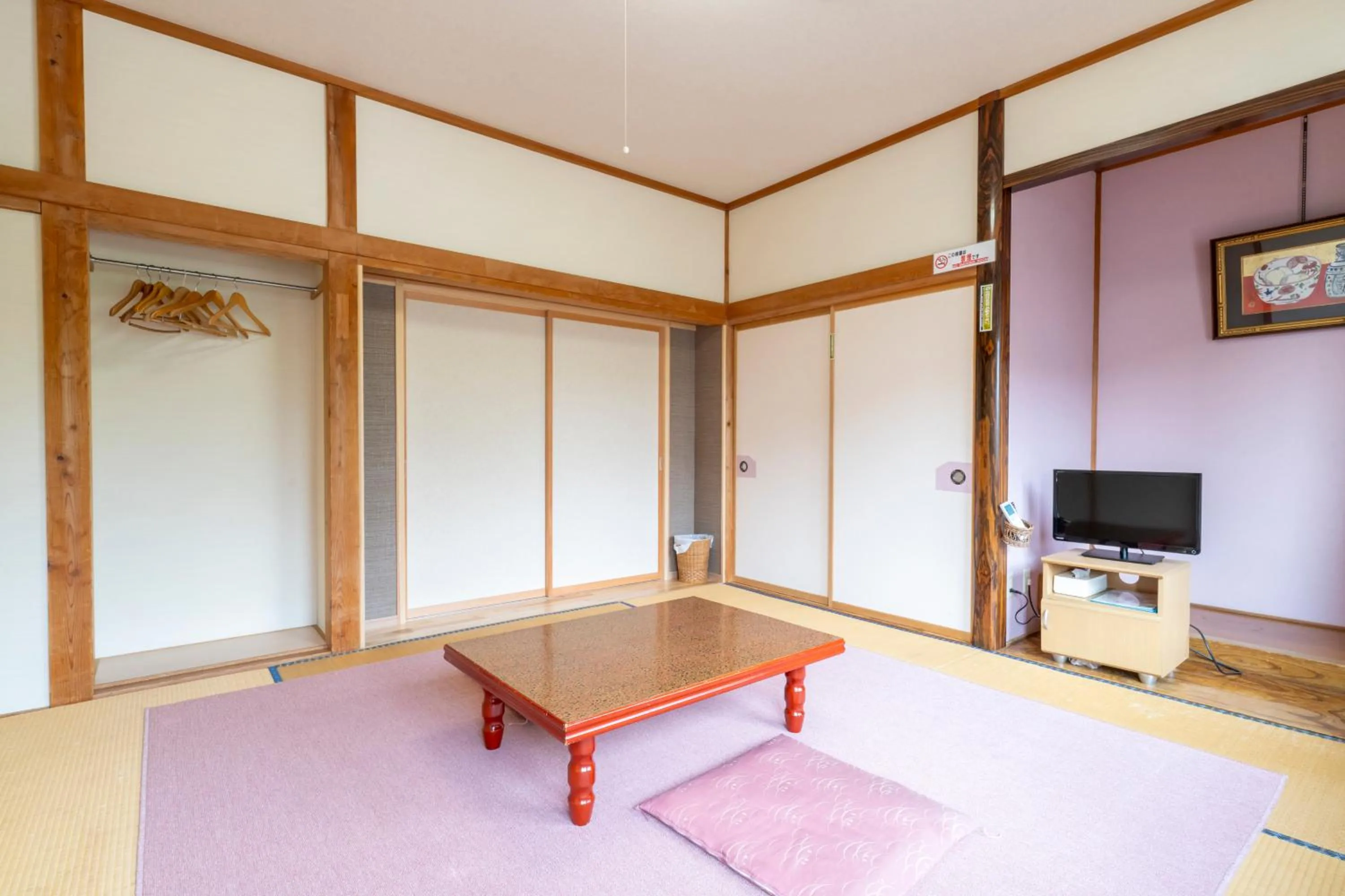 TV and multimedia in Lodge Matsuya