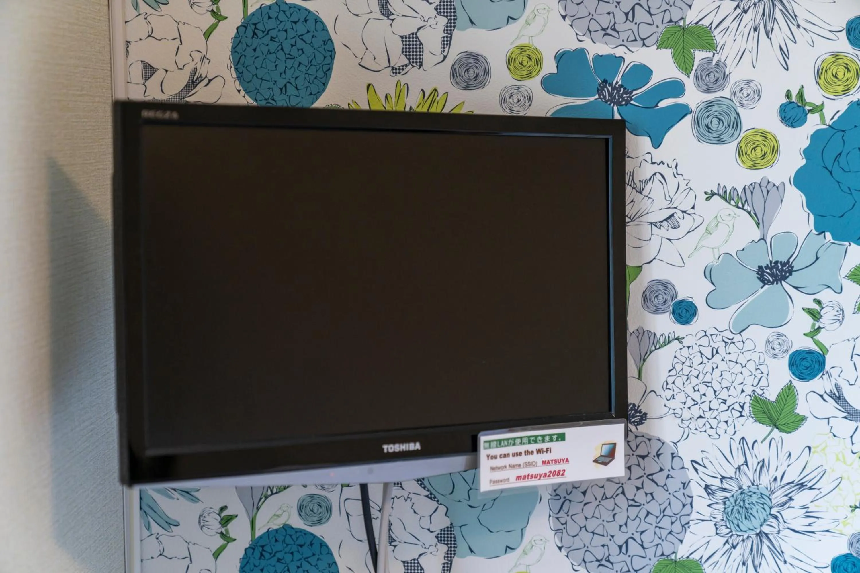 TV and multimedia in Lodge Matsuya