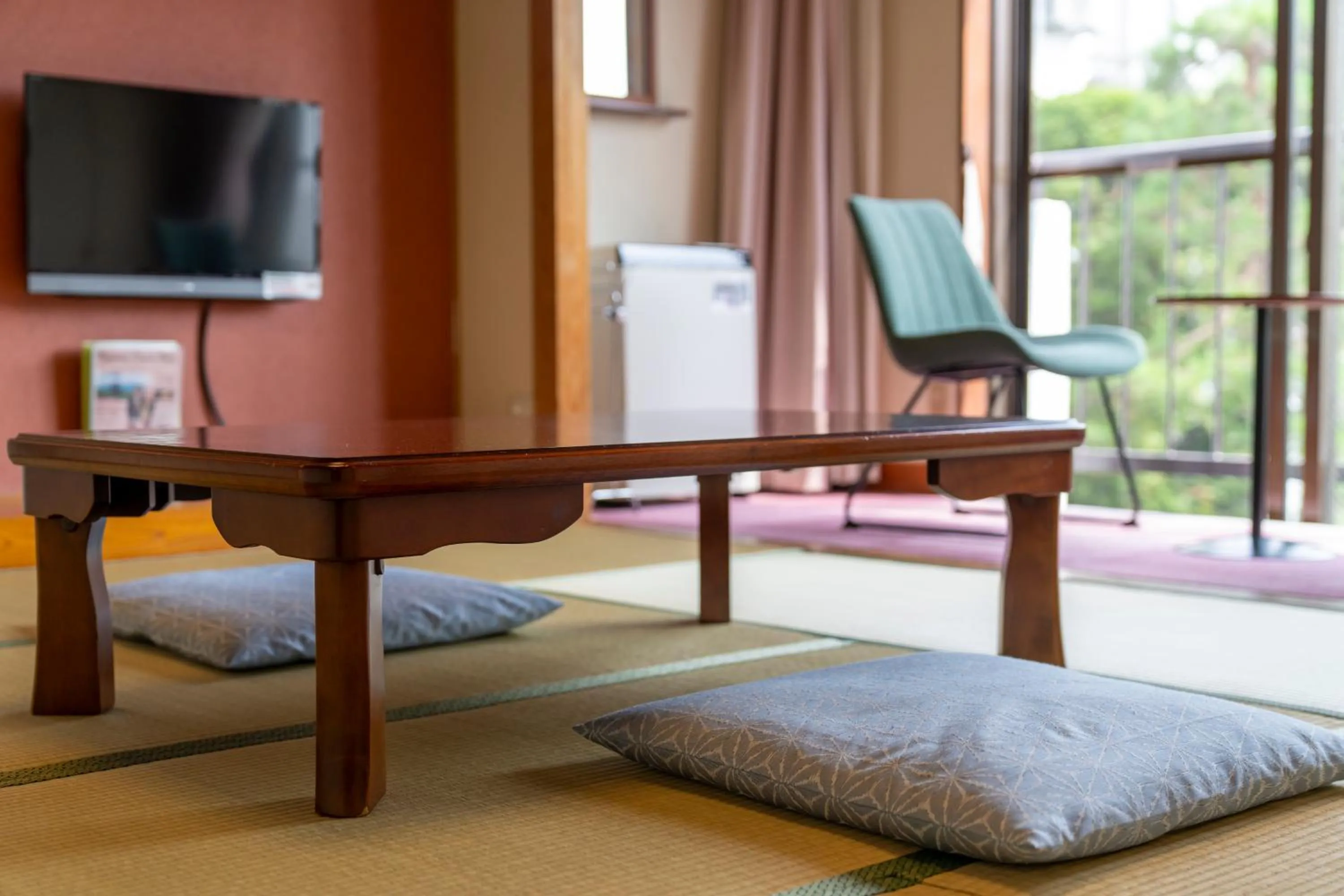 TV and multimedia in Lodge Matsuya