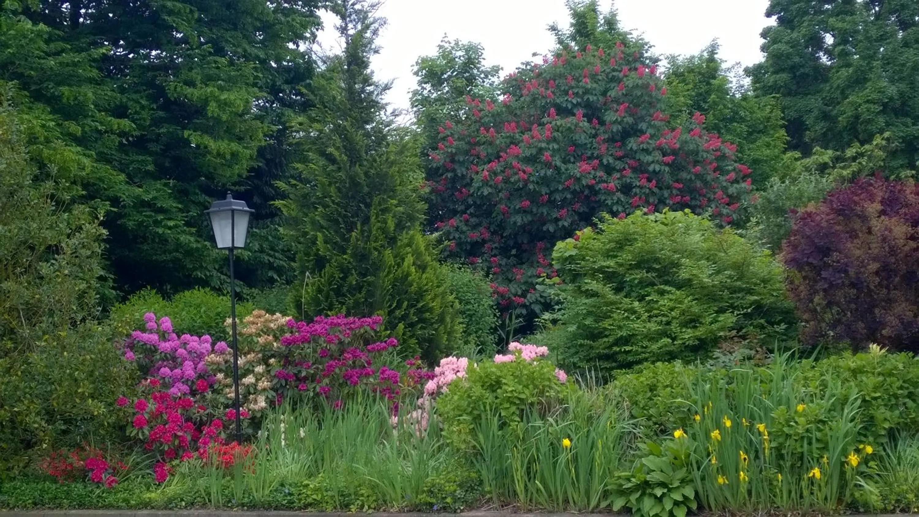 Garden view in Hotel Meyer