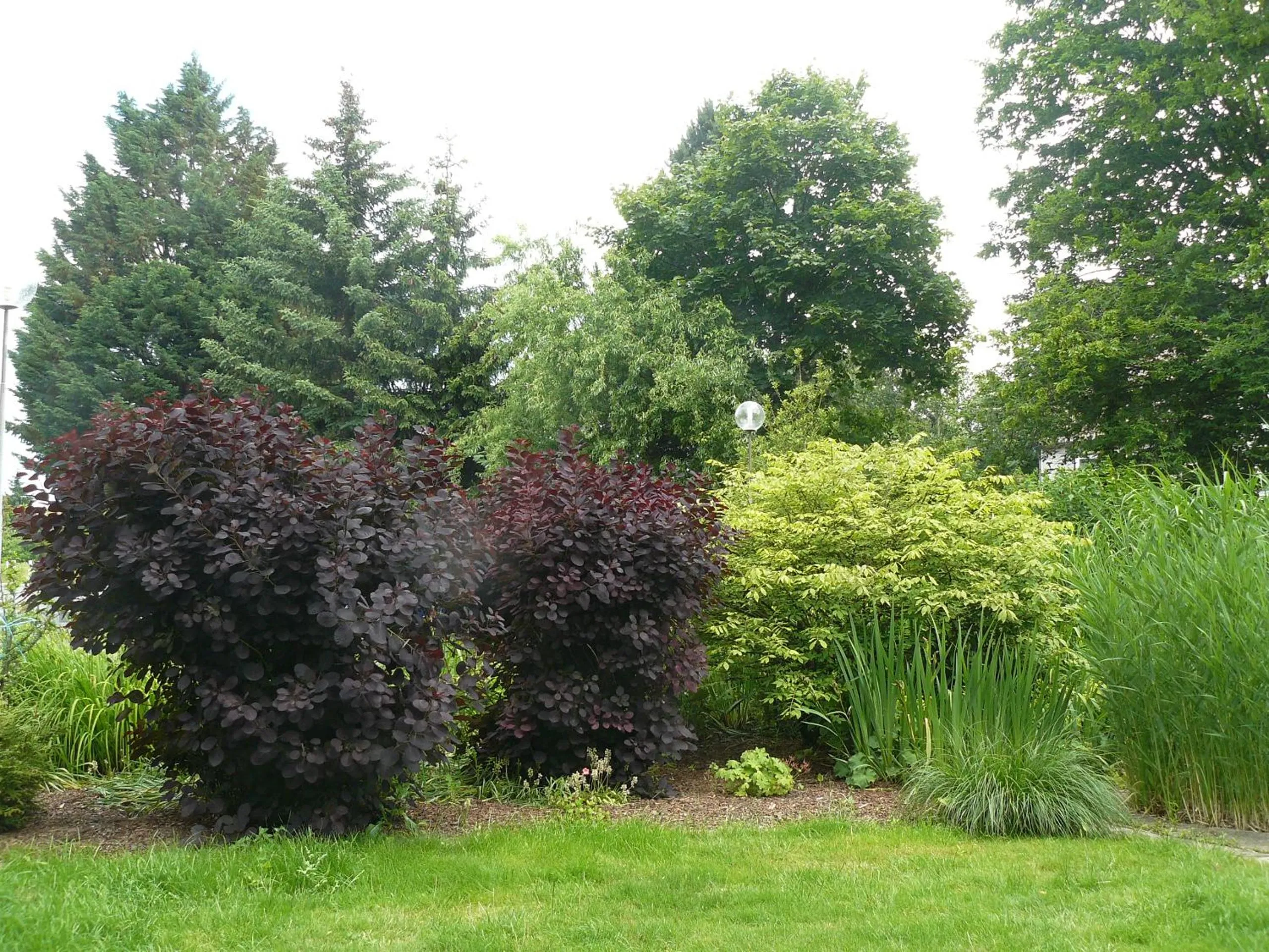 Garden in Hotel Meyer