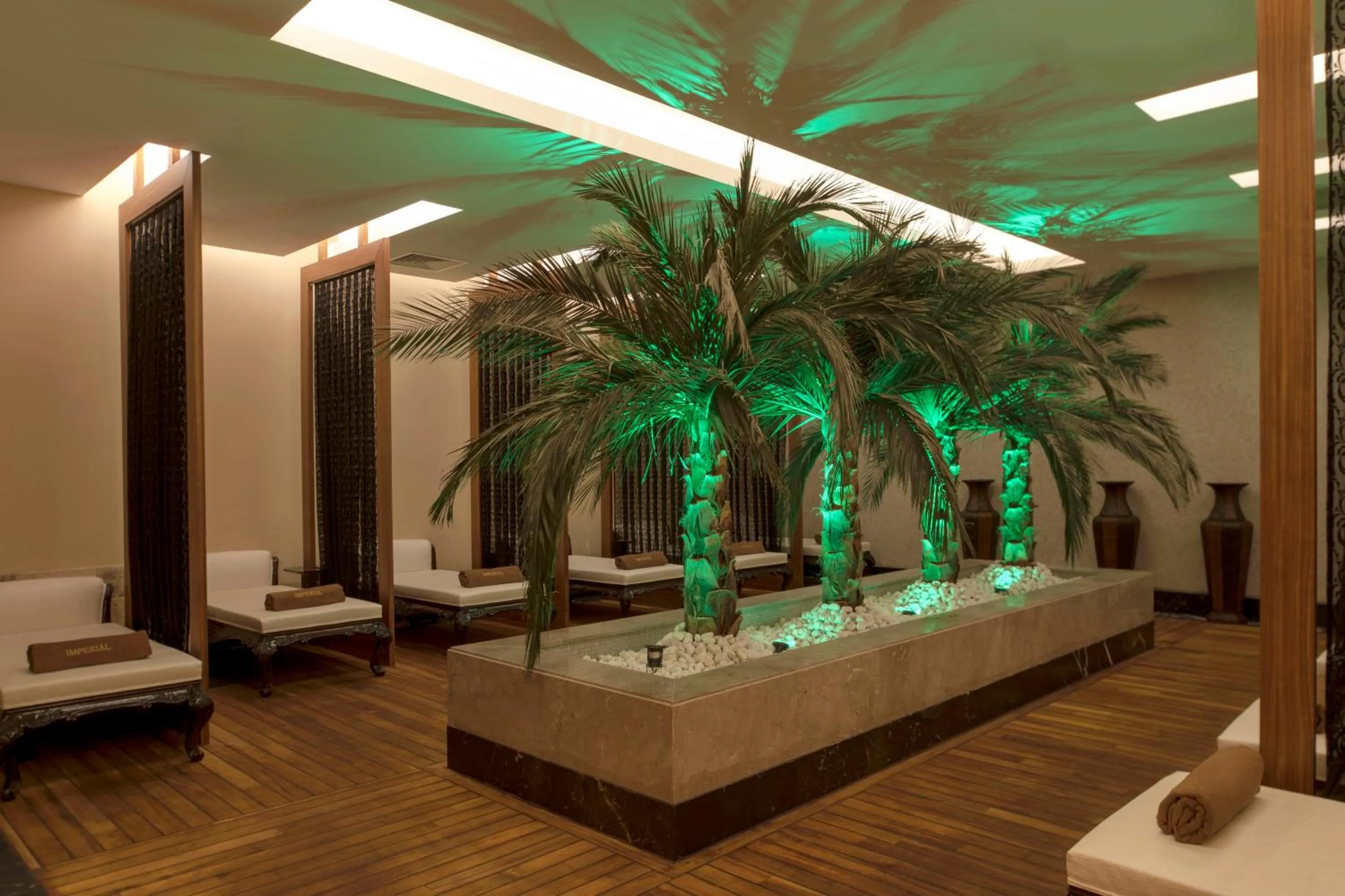 Spa and wellness centre/facilities in Delphin Imperial Lara
