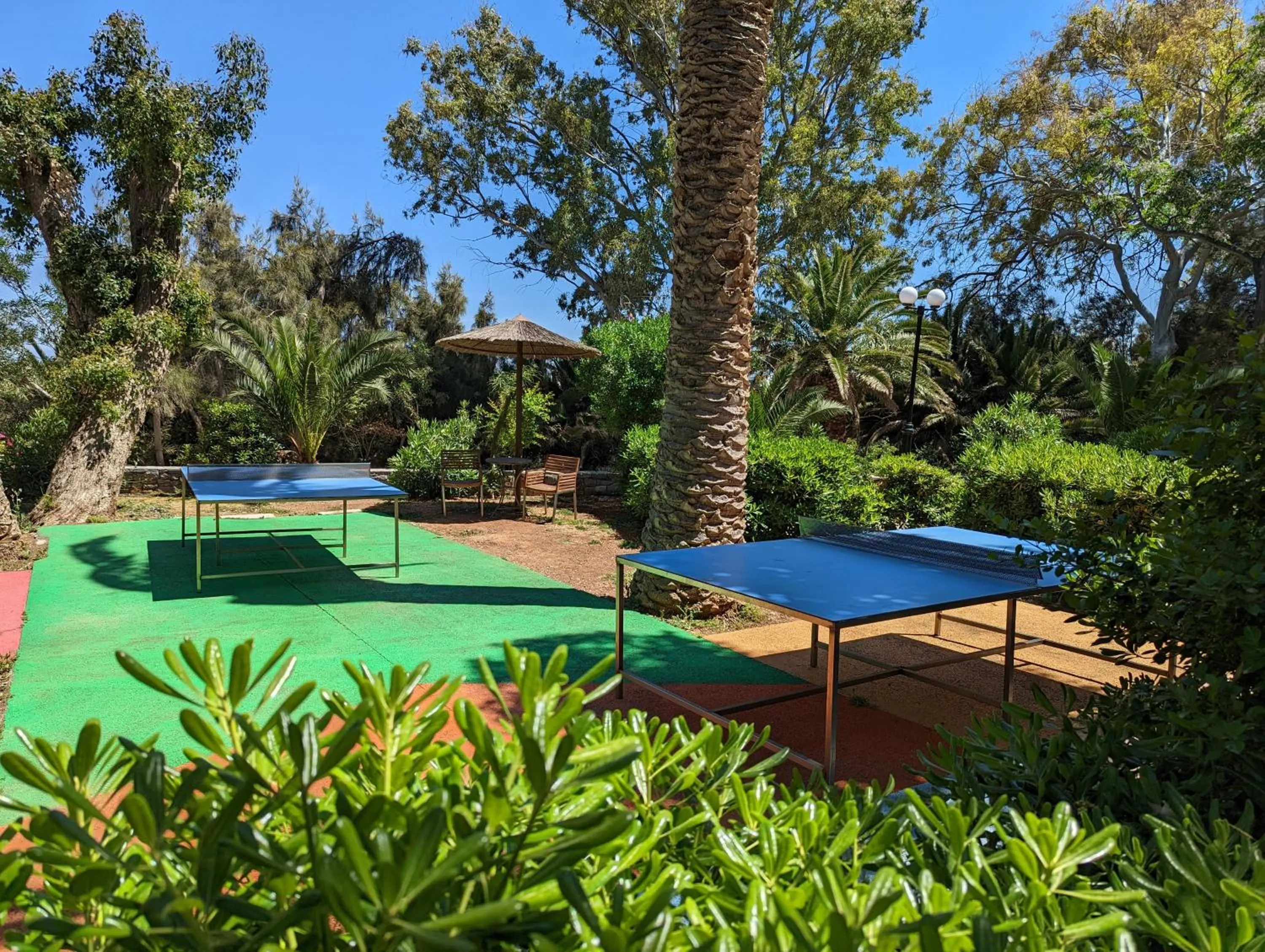 Table tennis in Apollonia Beach Resort & Spa