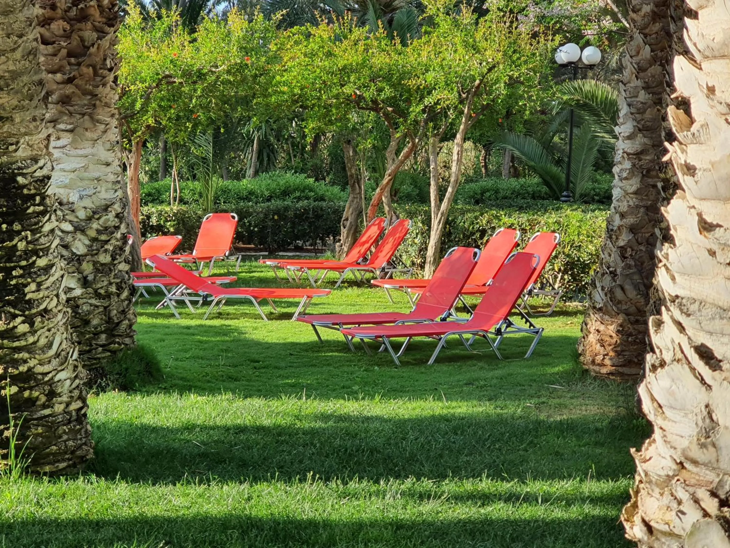 Garden in Apollonia Beach Resort & Spa