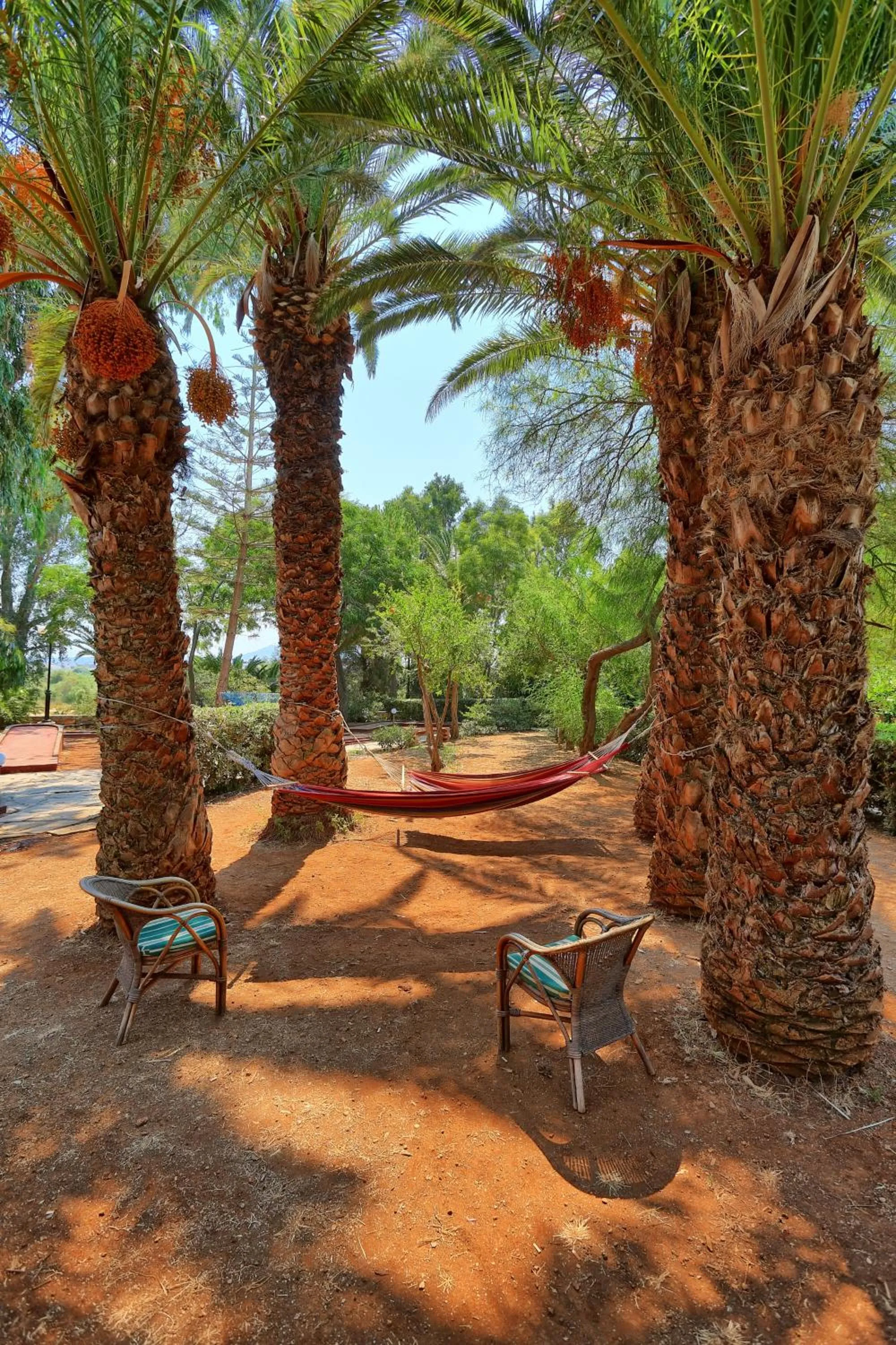 Garden in Apollonia Beach Resort & Spa