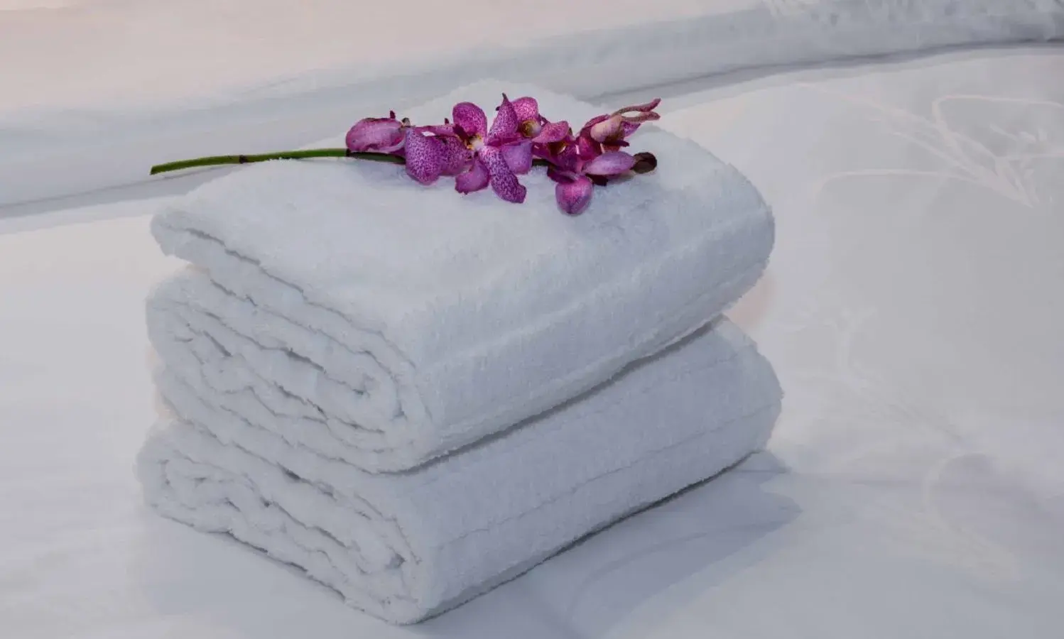 Suite in Braira Al Dammam Suite in Braira Al Dammam