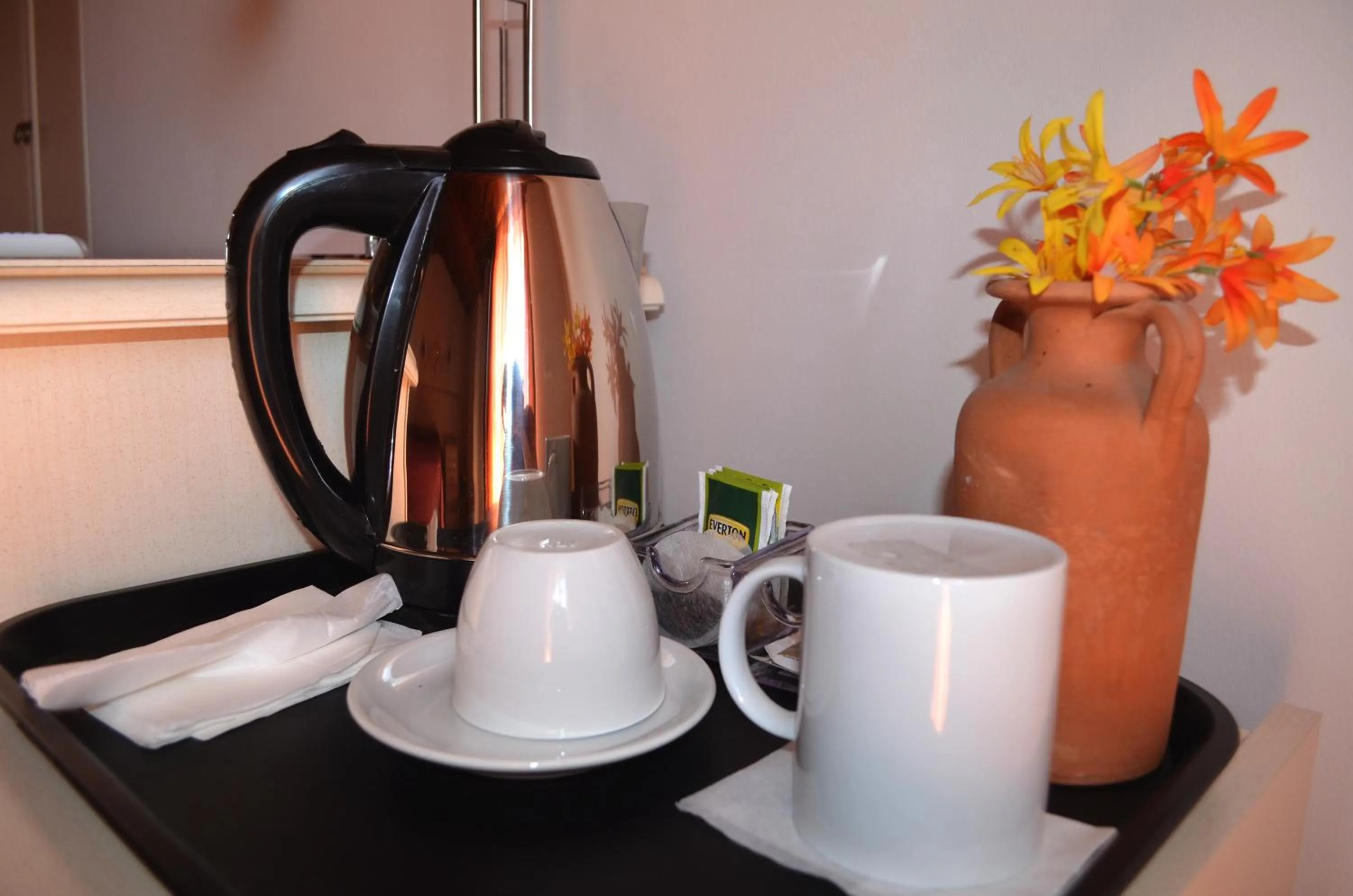 Coffee/tea facilities in Domus Romulea