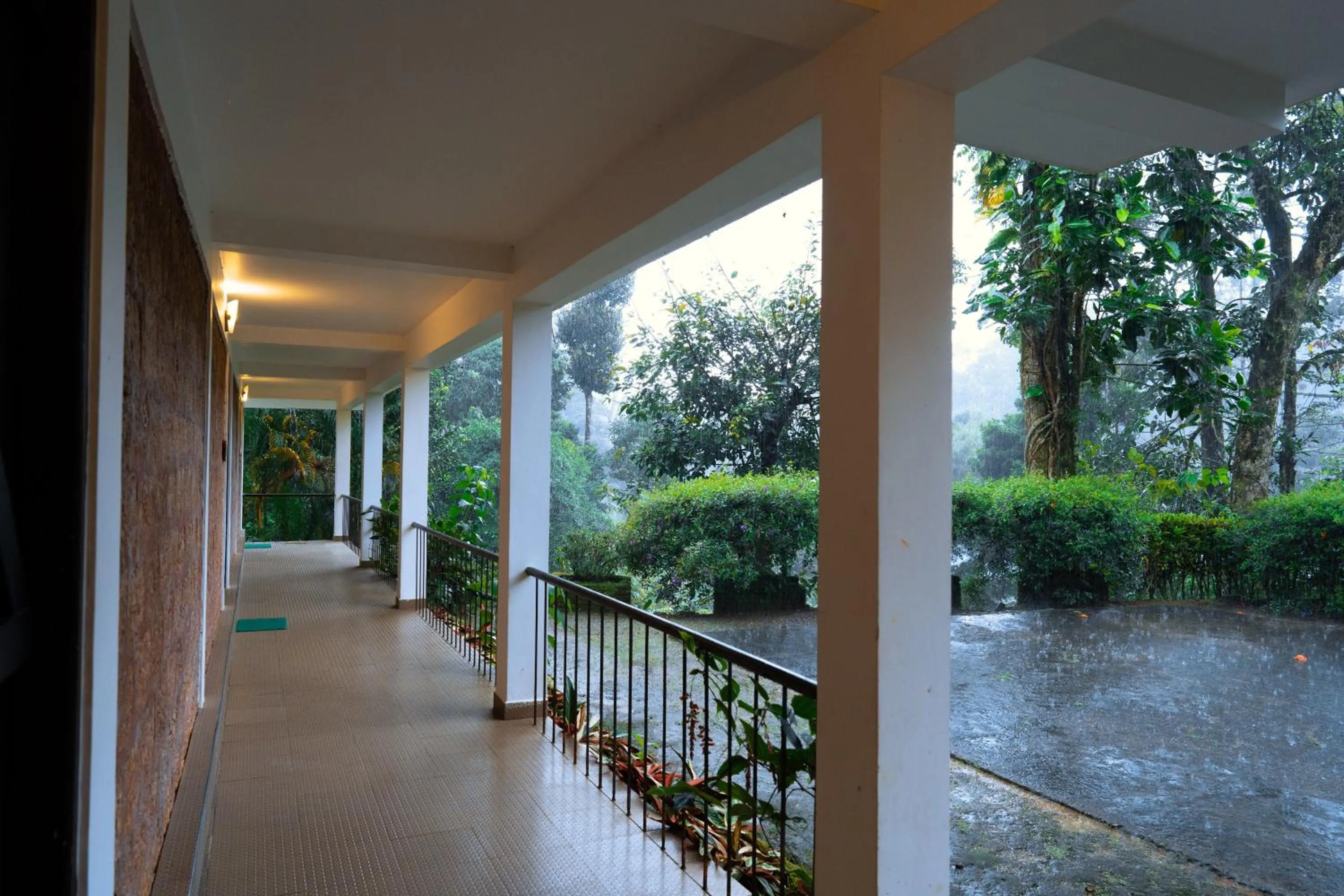 View (from property/room) in Falling Waters Munnar