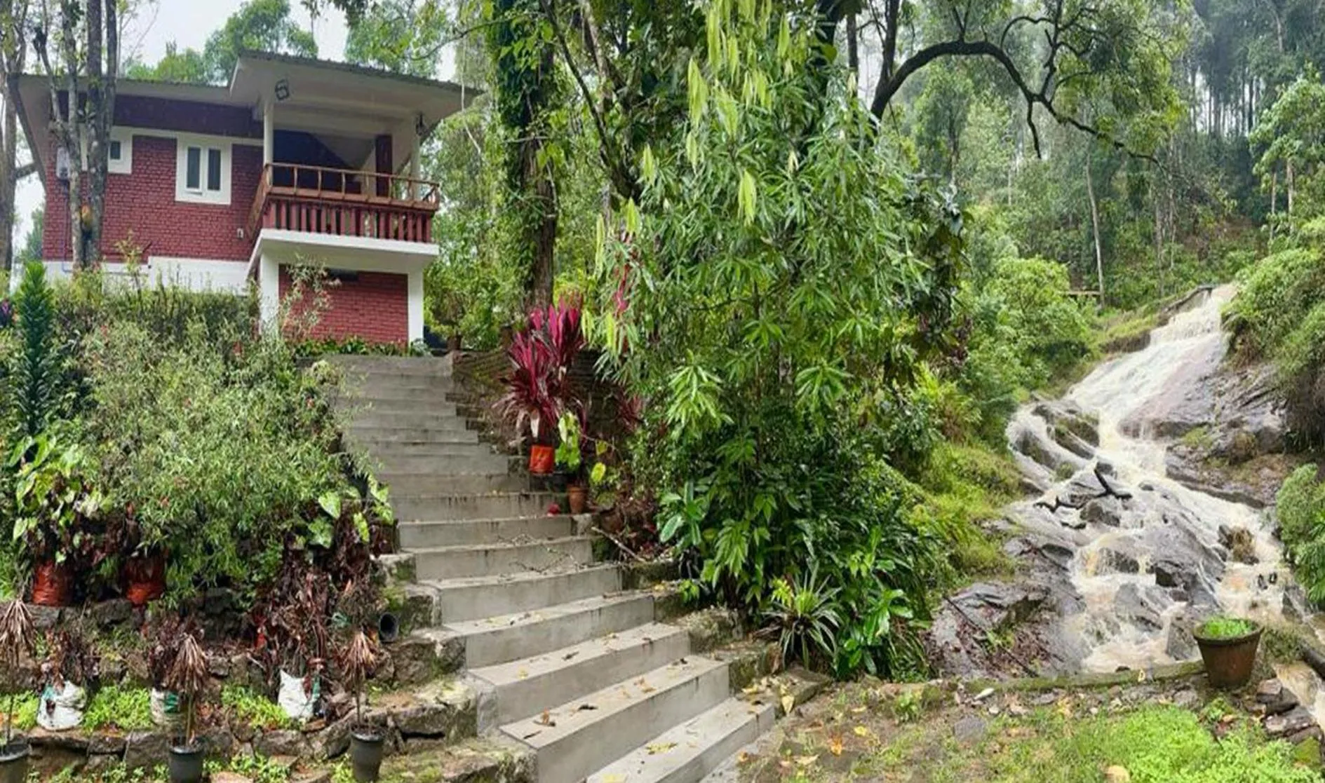 View (from property/room) in Falling Waters Munnar