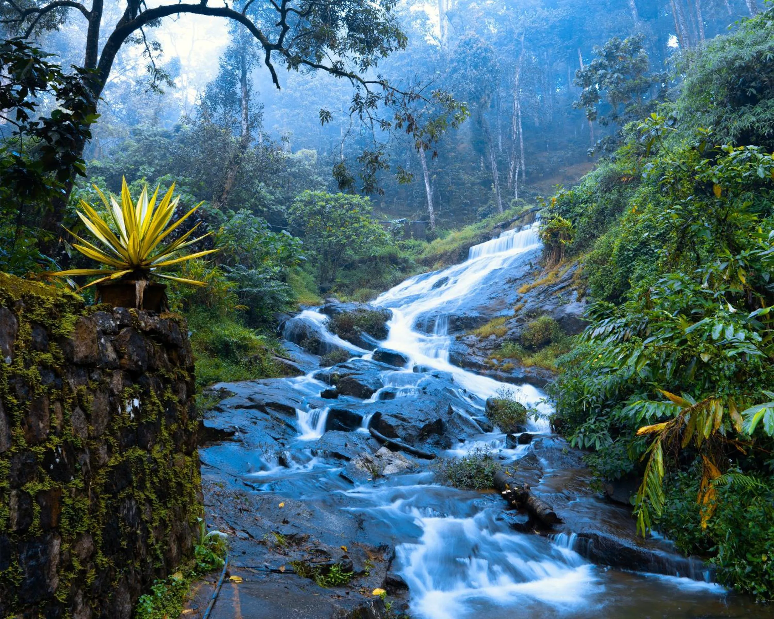 Lake view in Falling Waters Munnar