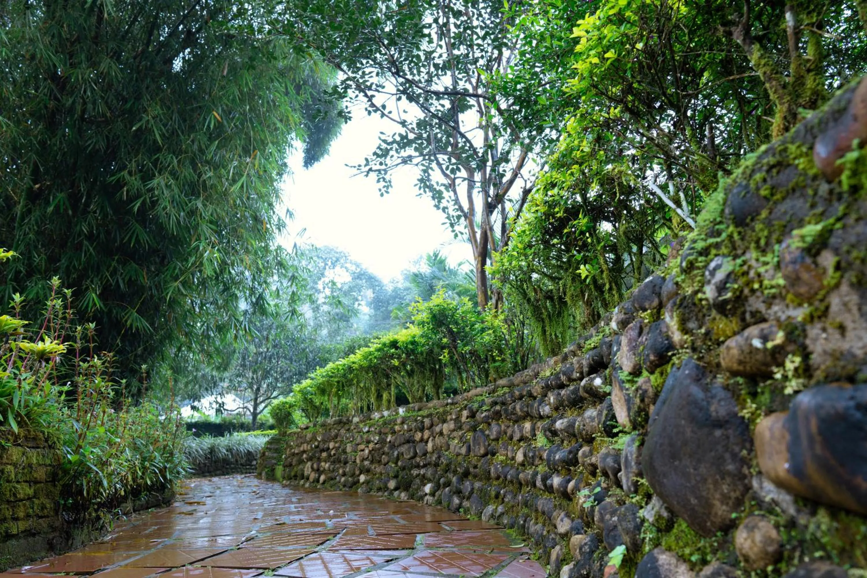 Nearby landmark in Falling Waters Munnar