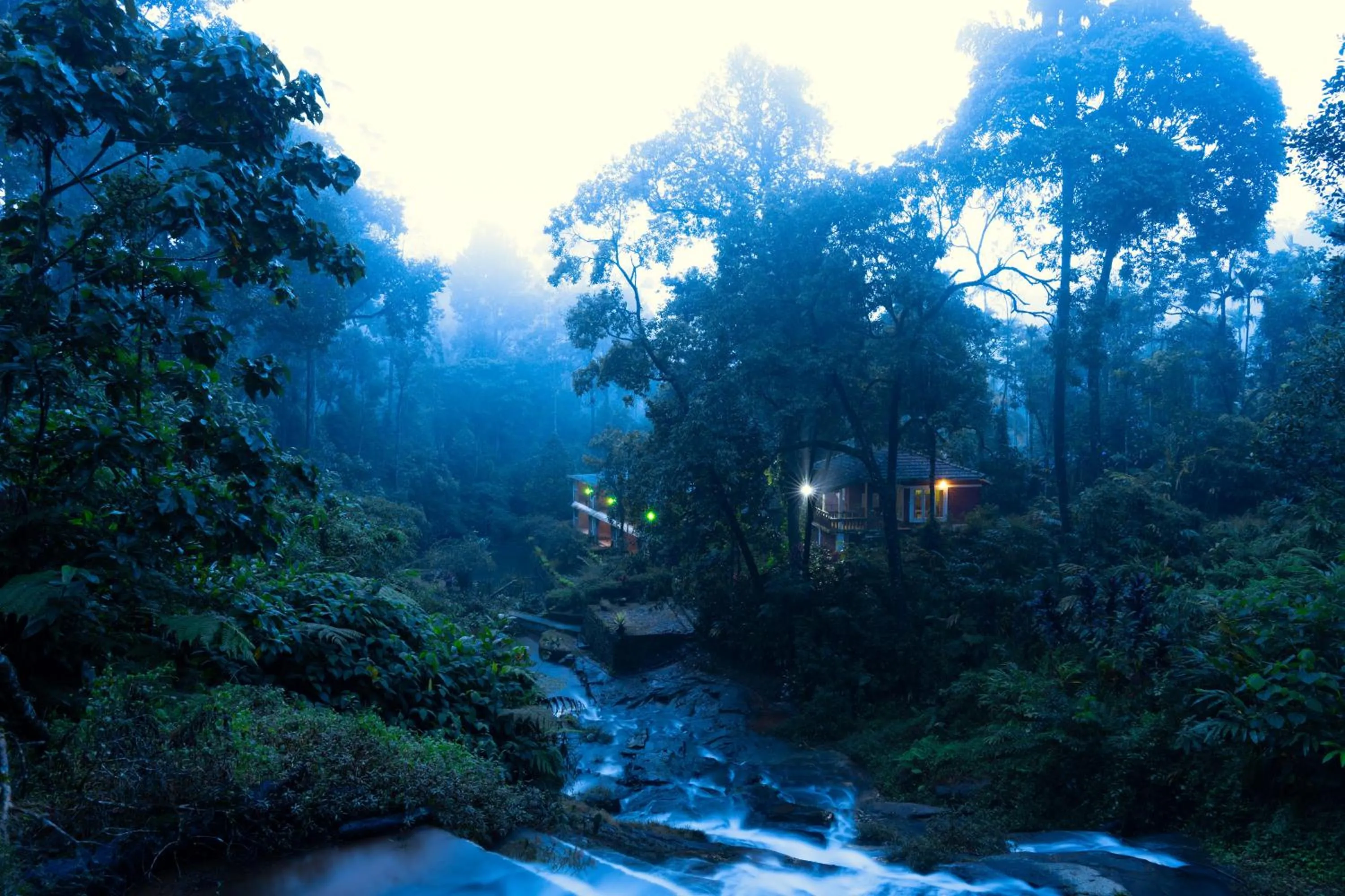 River view in Falling Waters Munnar