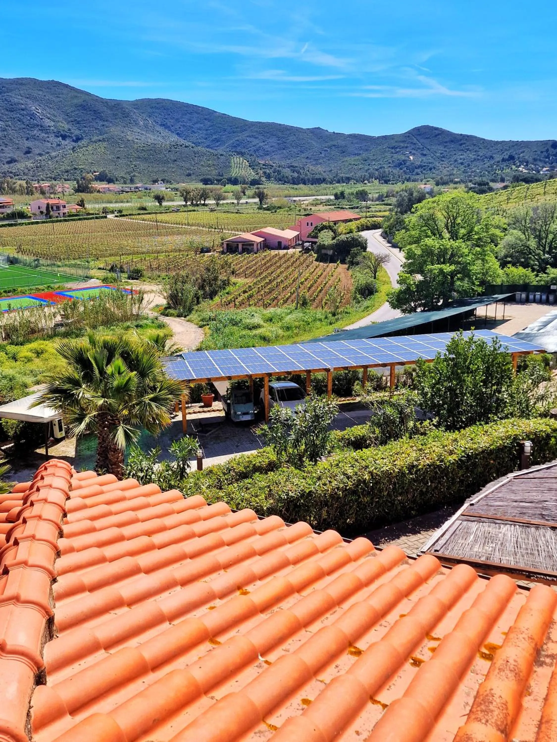 Garden in Al Barcoco