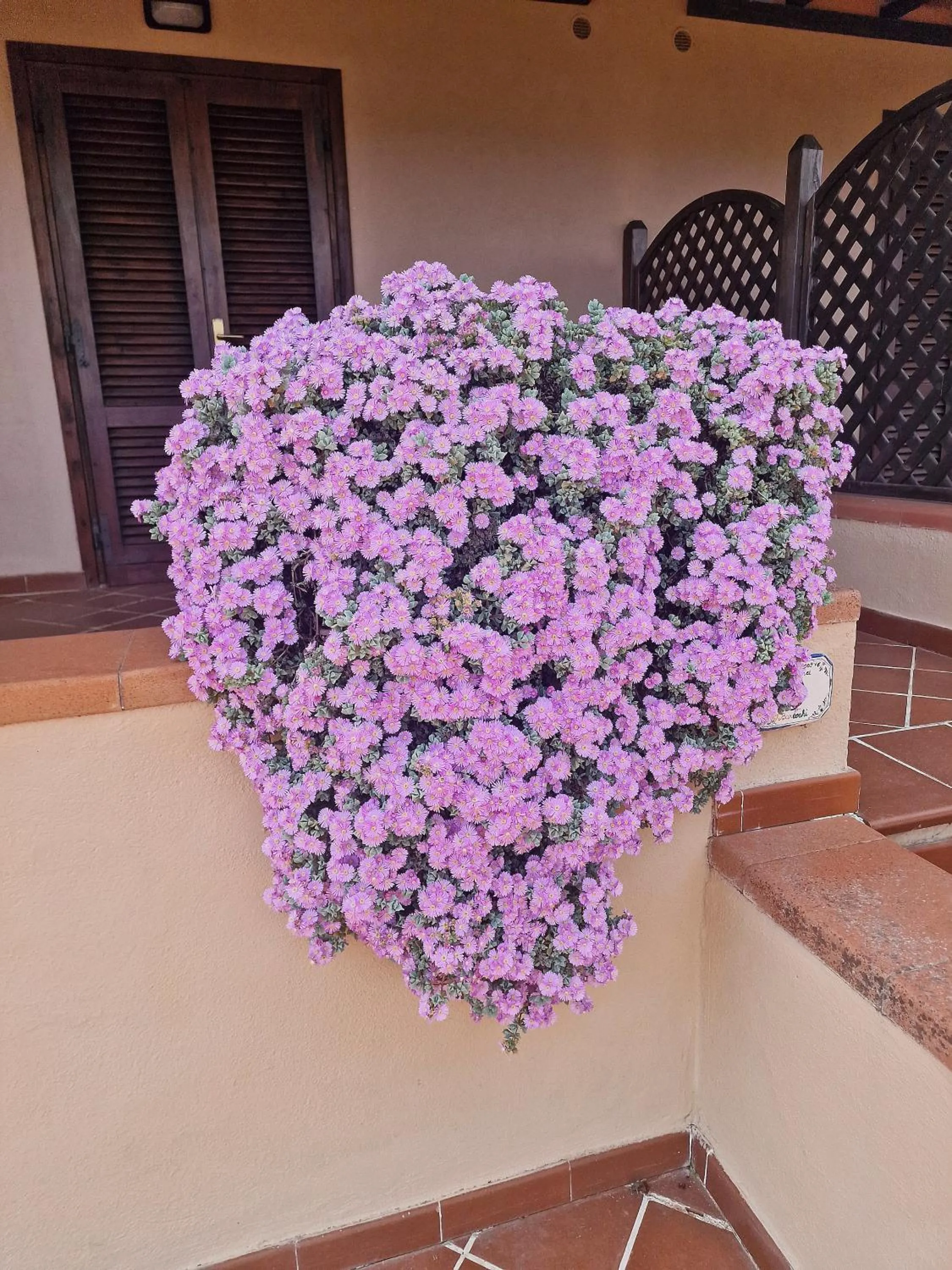 Property building in Al Barcoco