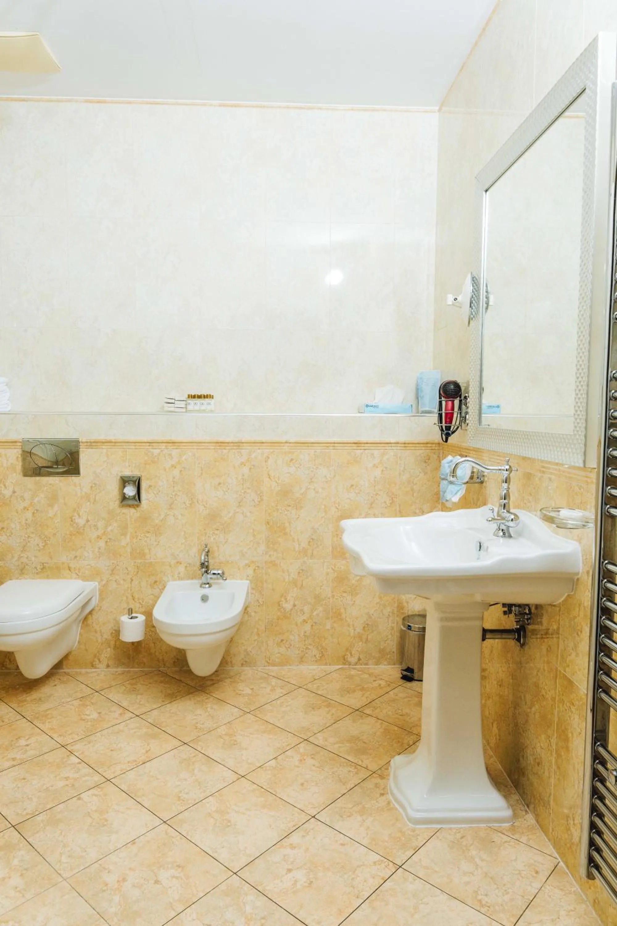 Shower in Hotel Actum