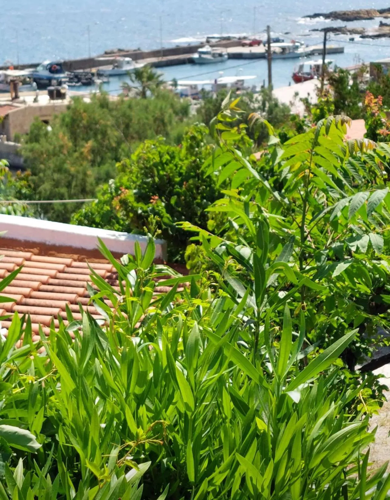 Day in Villas Vista Del Mar