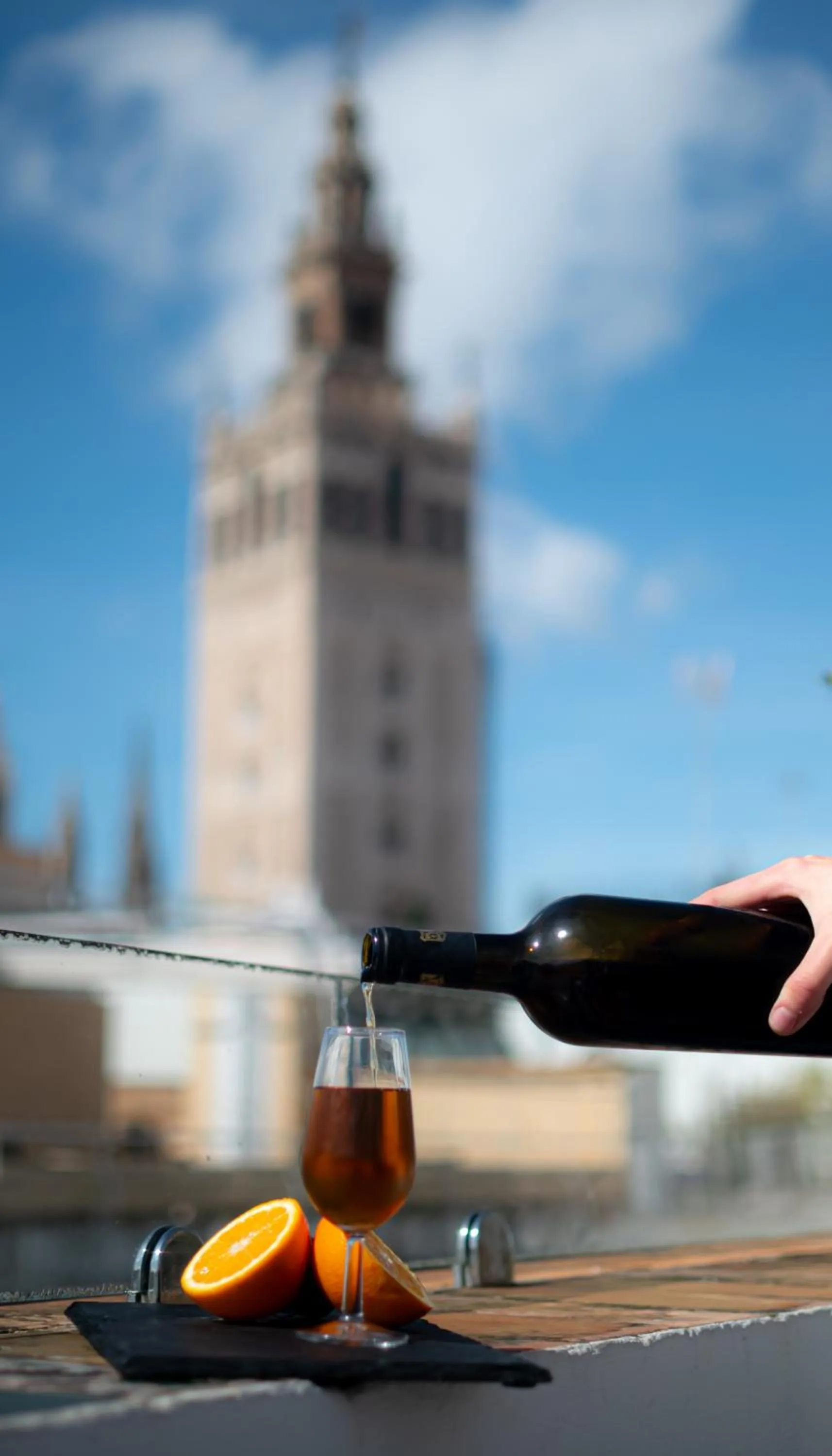Landmark view in Hotel Palacio Alcázar