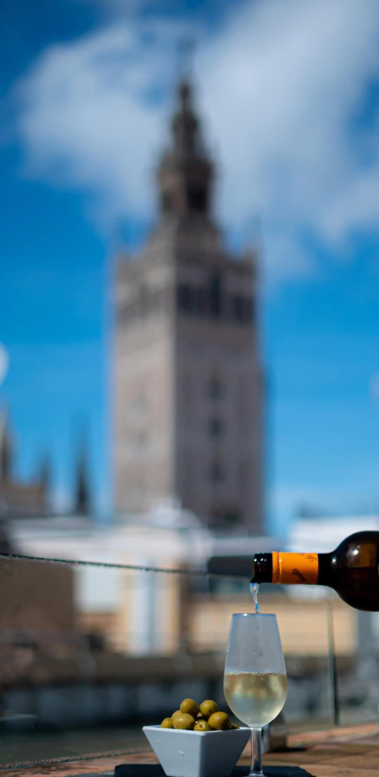 View (from property/room) in Hotel Palacio Alcázar
