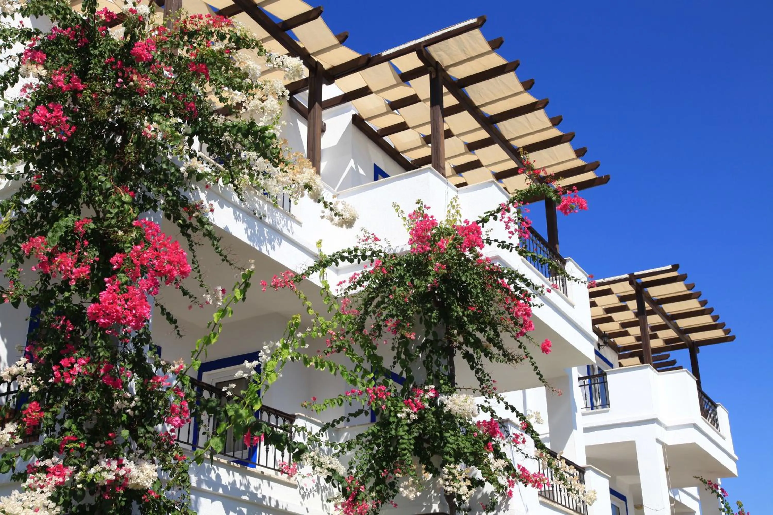 Property building in Aktur Residence