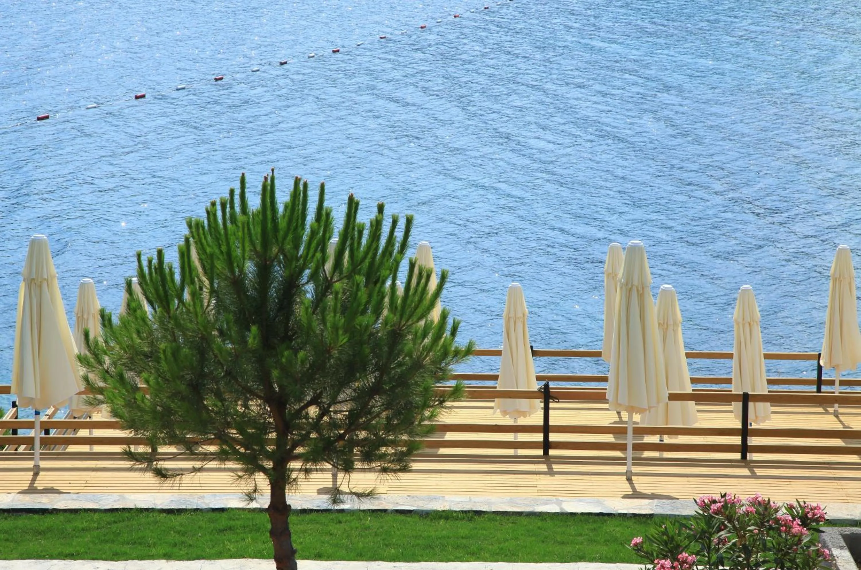 Other in Aktur Residence