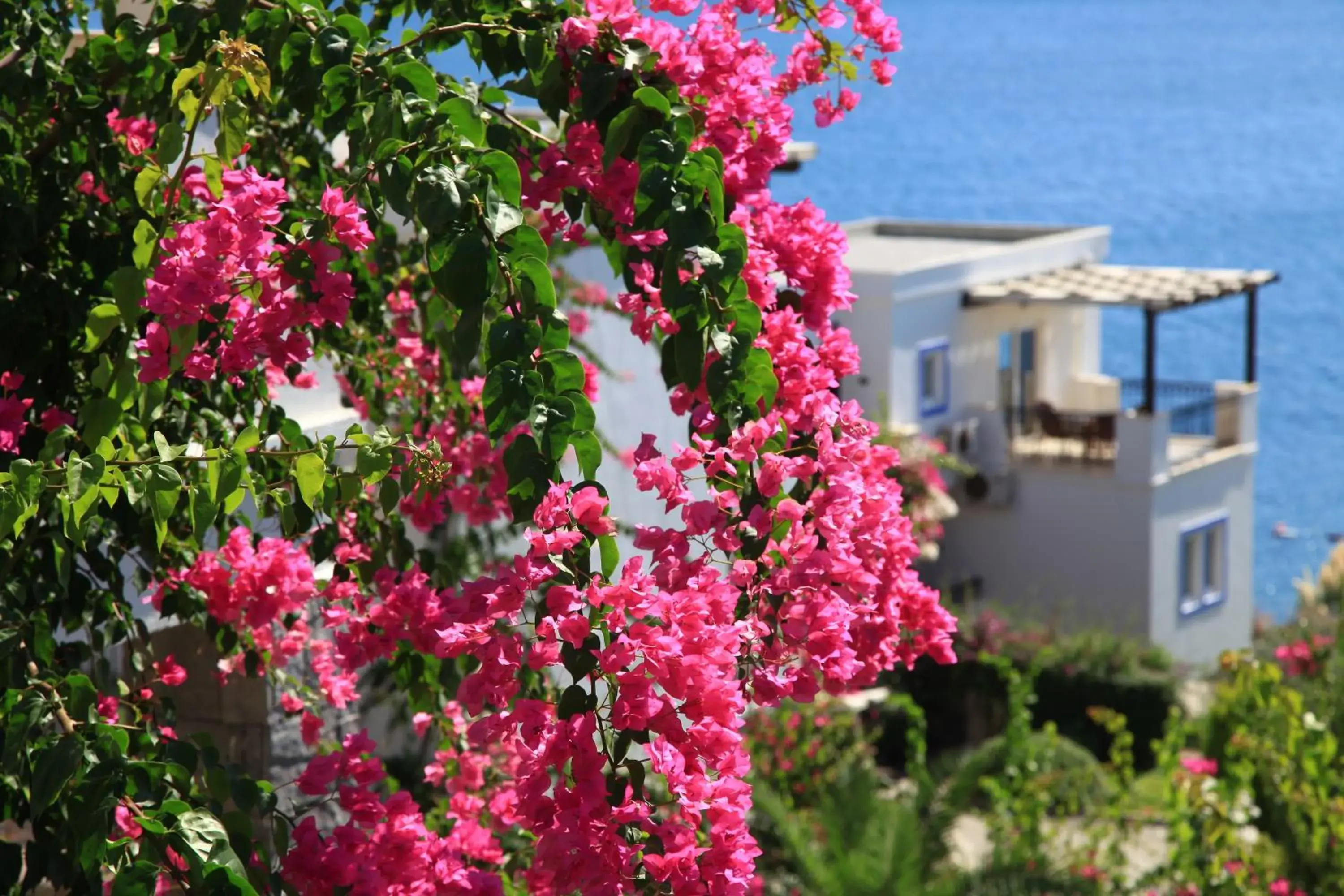 Aktur Residence Aktur Residence