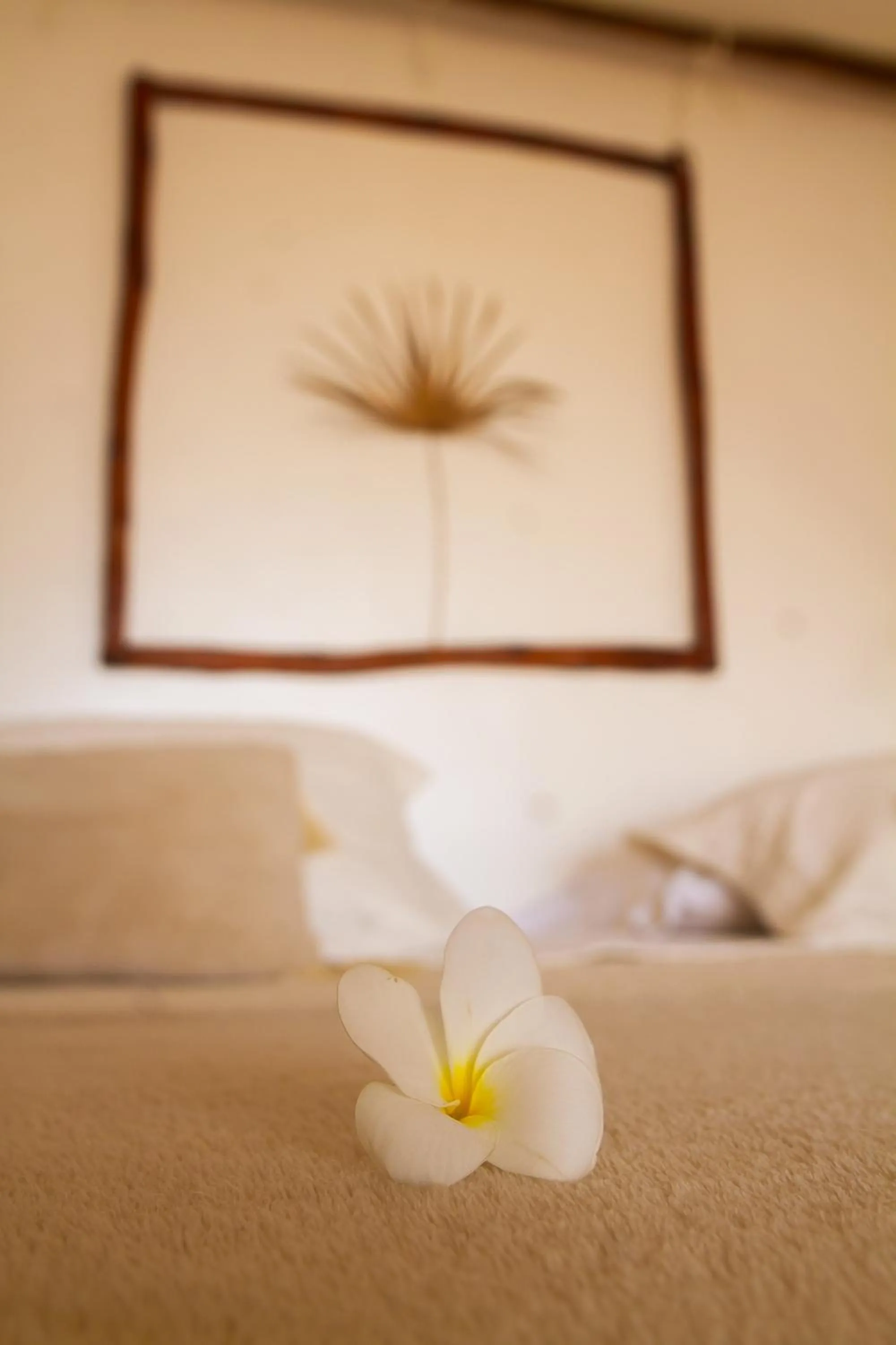 Decorative detail, Bed in Amagali Pousada
