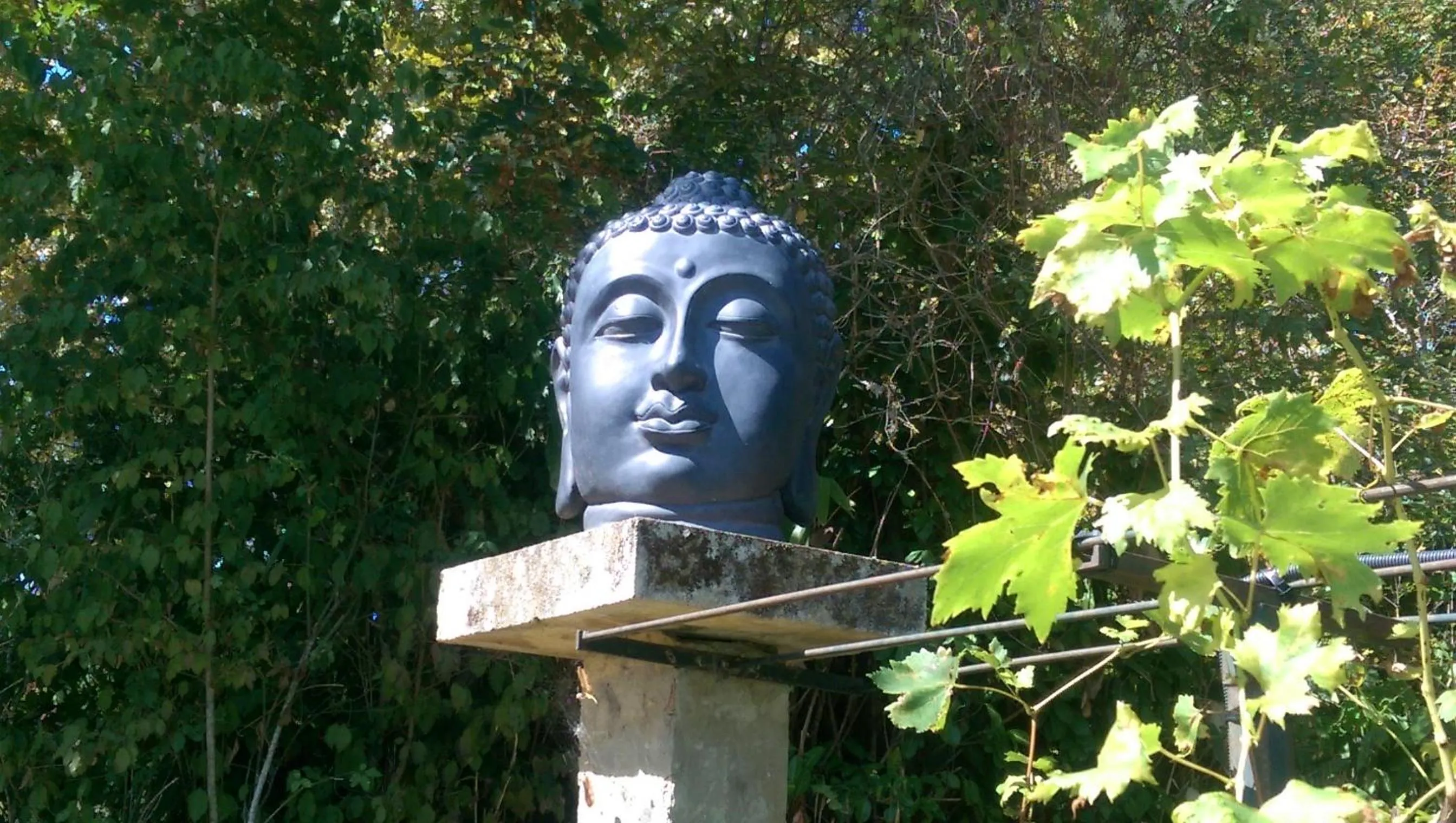 Garden in Villa Léovil