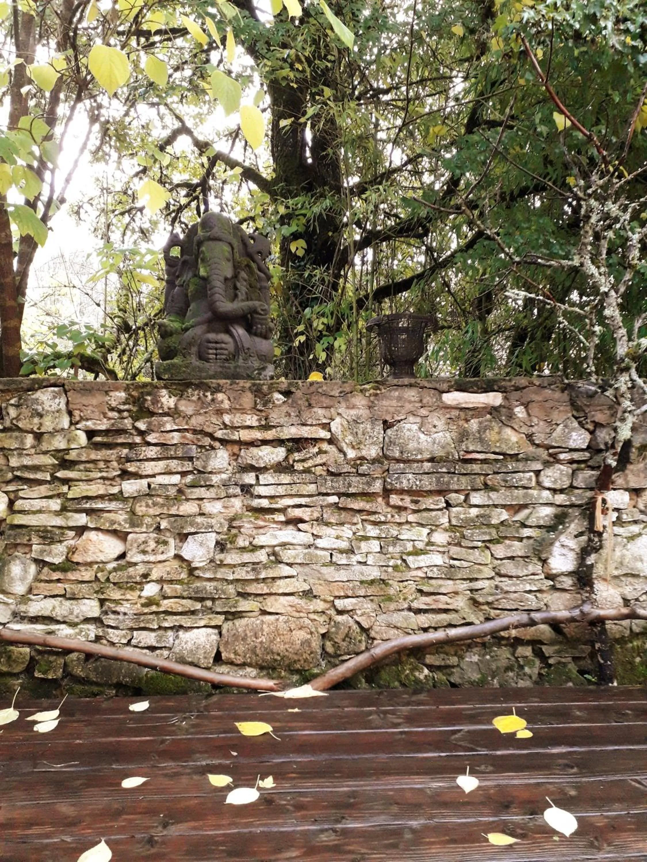 Garden in Villa Léovil