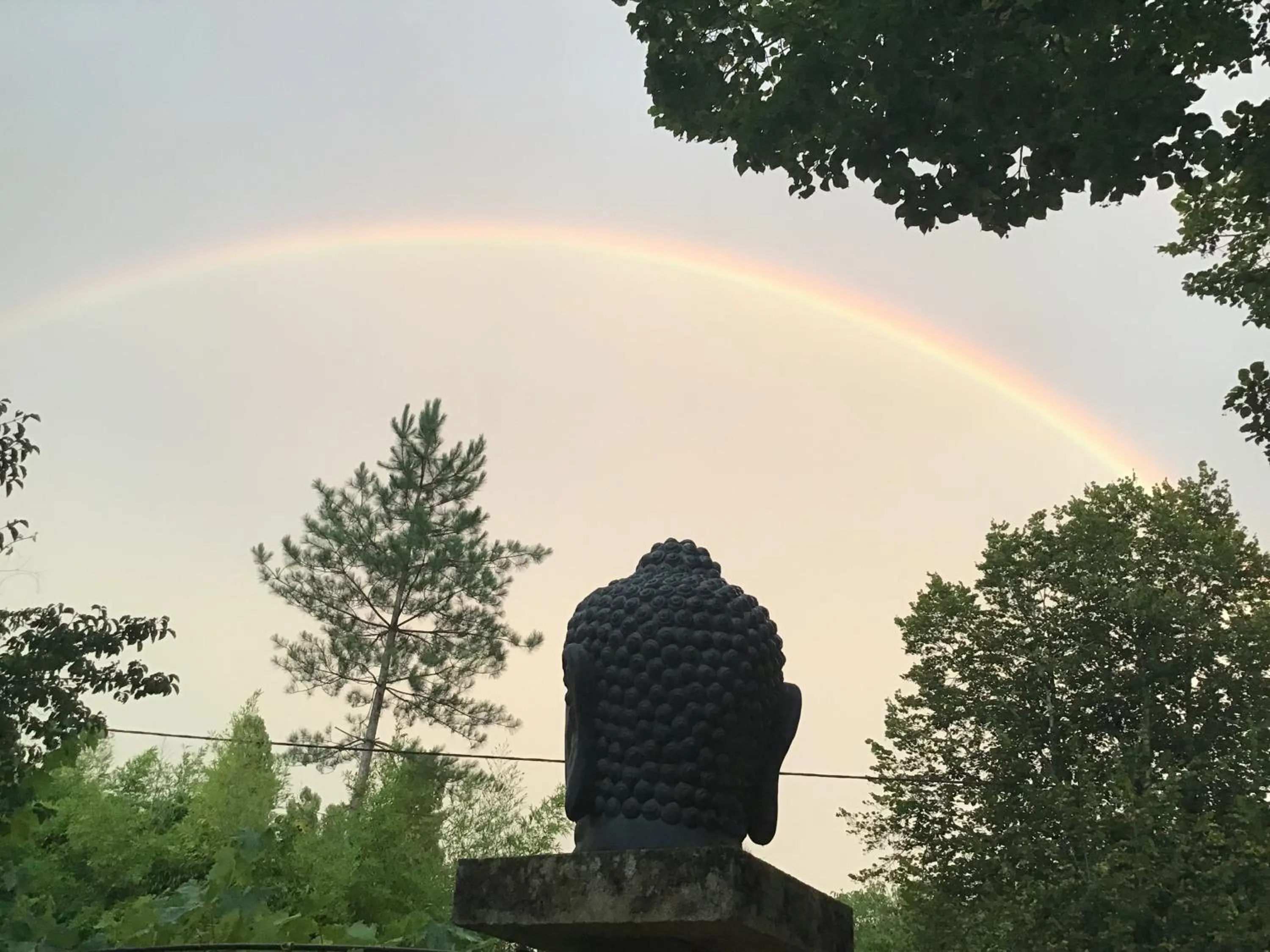 Garden in Villa Léovil