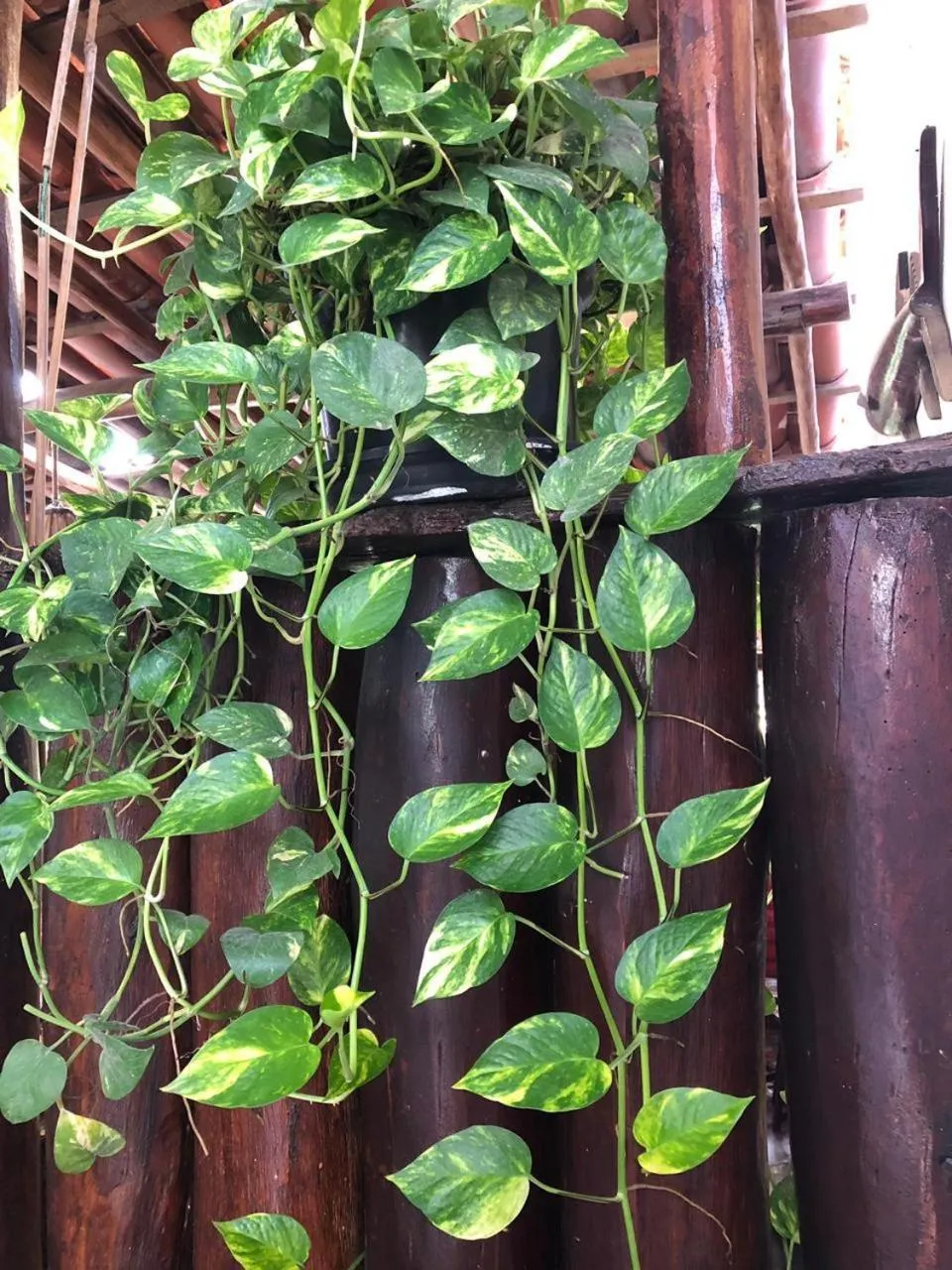 Decorative detail in Pousada E Restaurante Passart