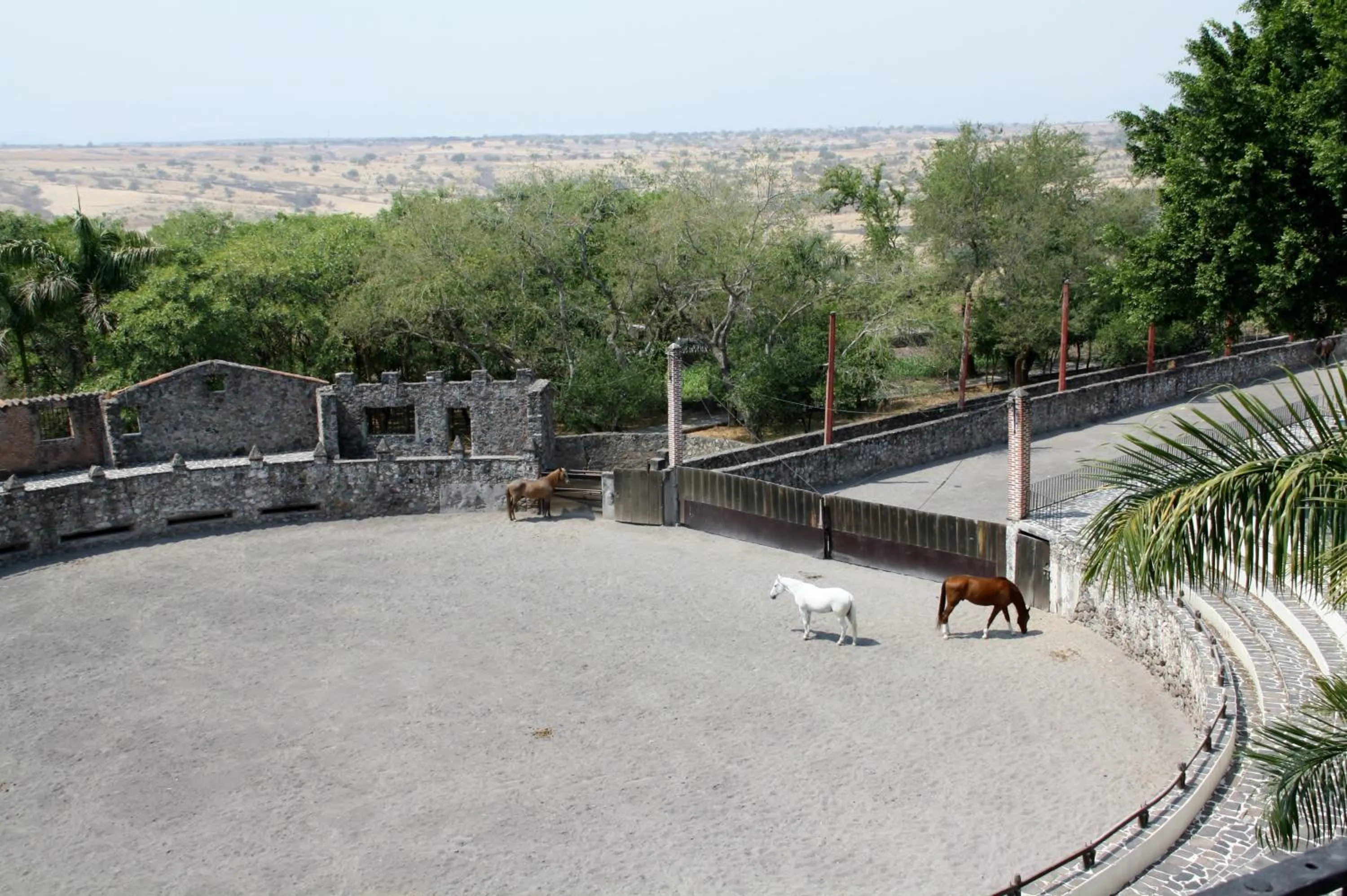 Horse-riding in Hotel Hacienda Vista Hermosa