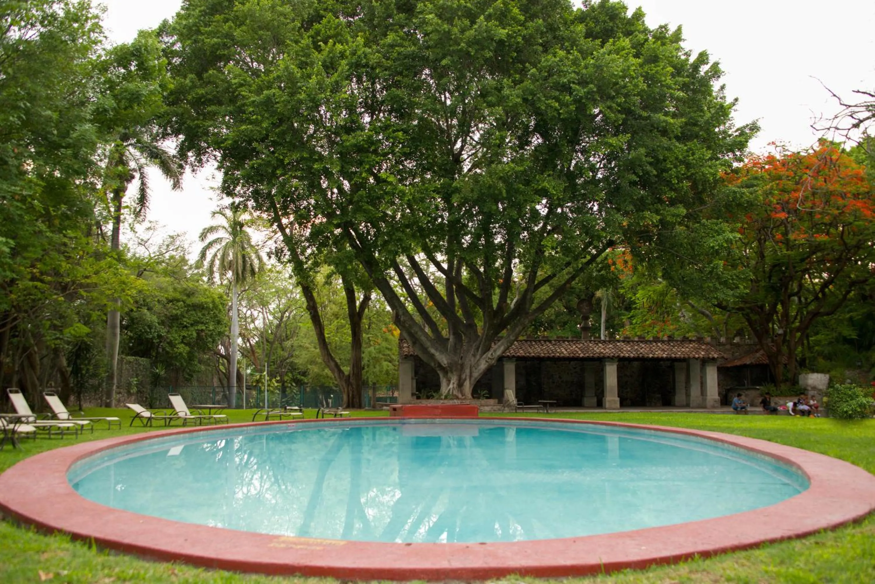 Patio in Hotel Hacienda Vista Hermosa