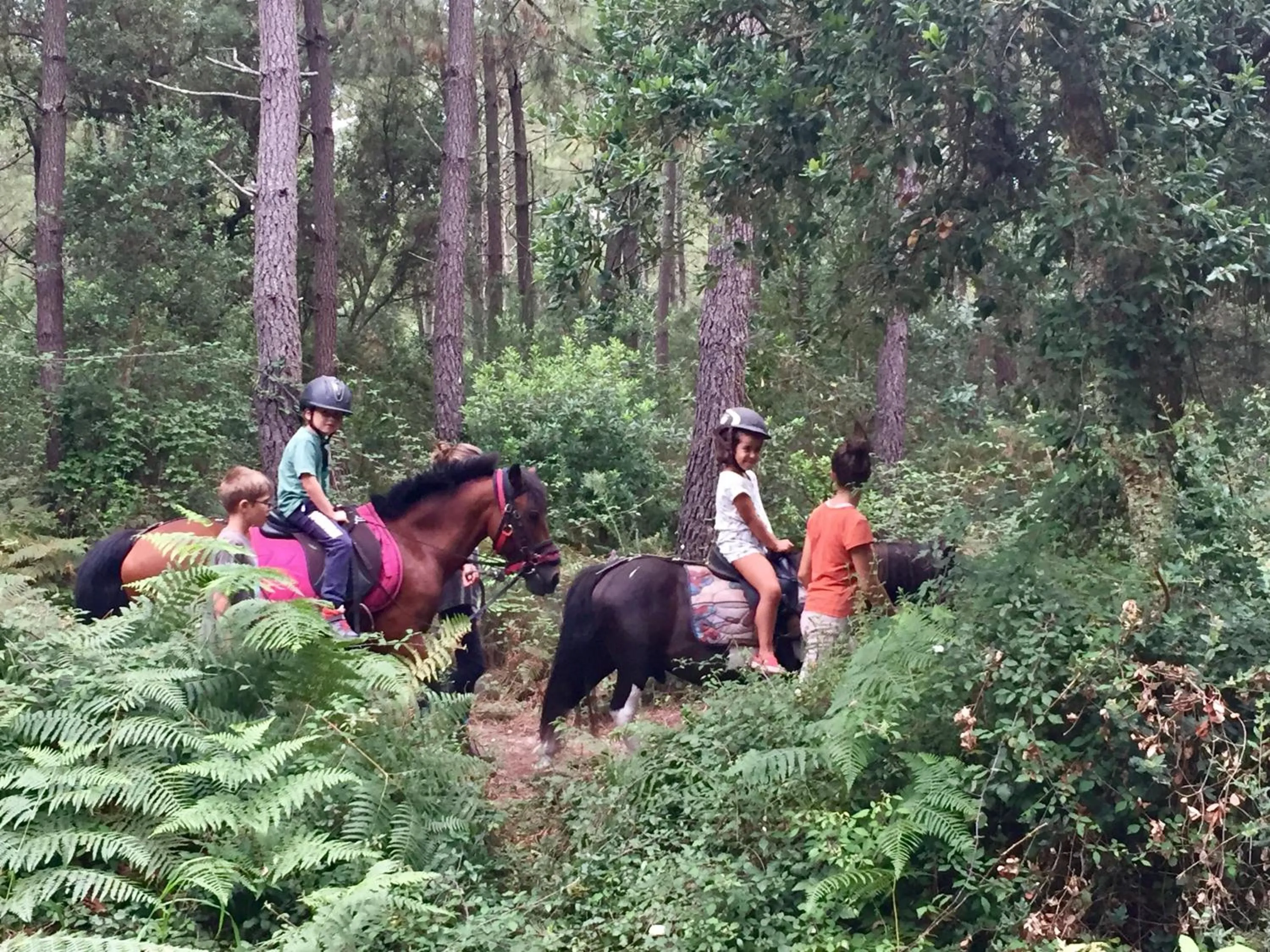 Natural landscape in Espace Blue Océan