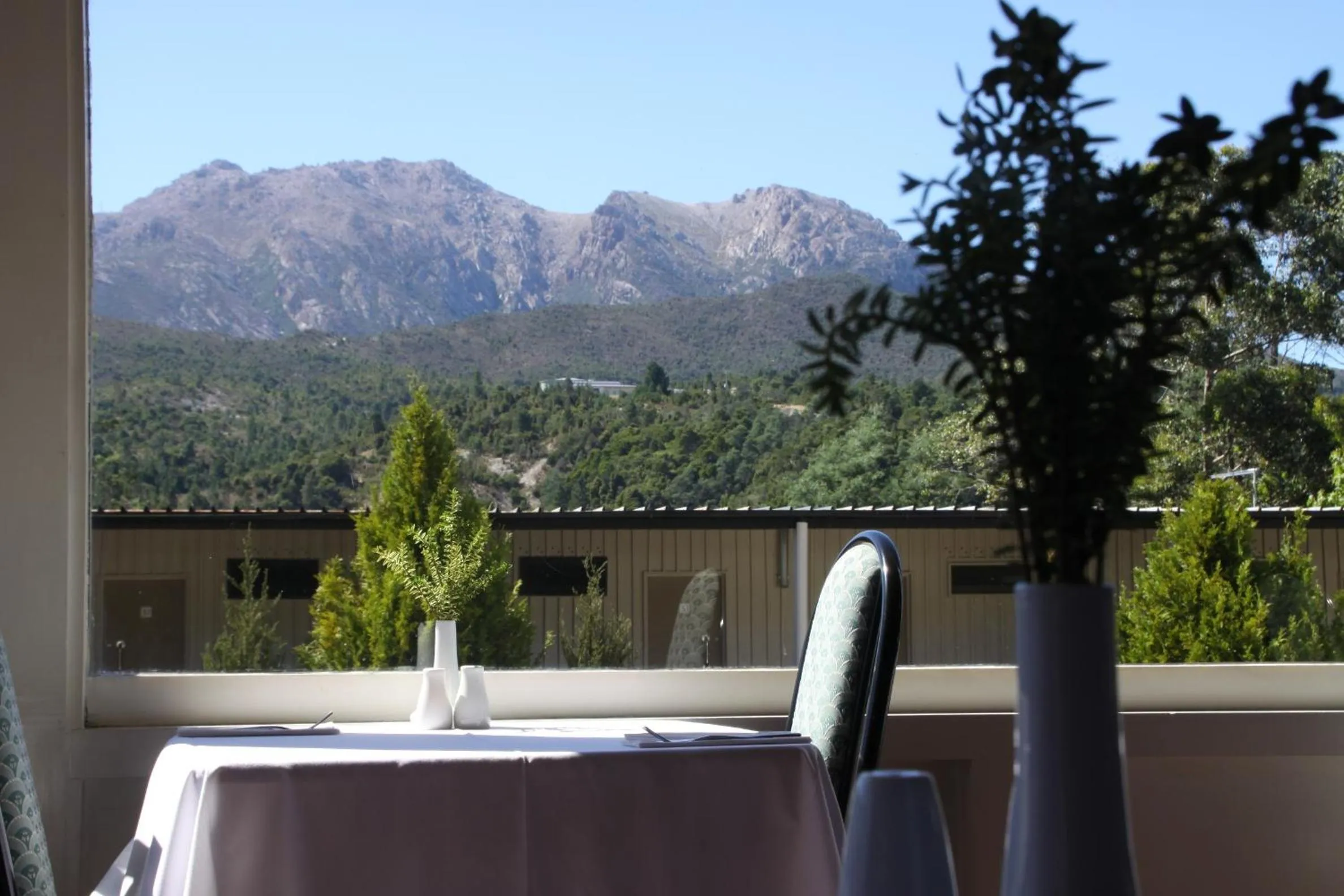 Restaurant/places to eat in Silver Hills Motel